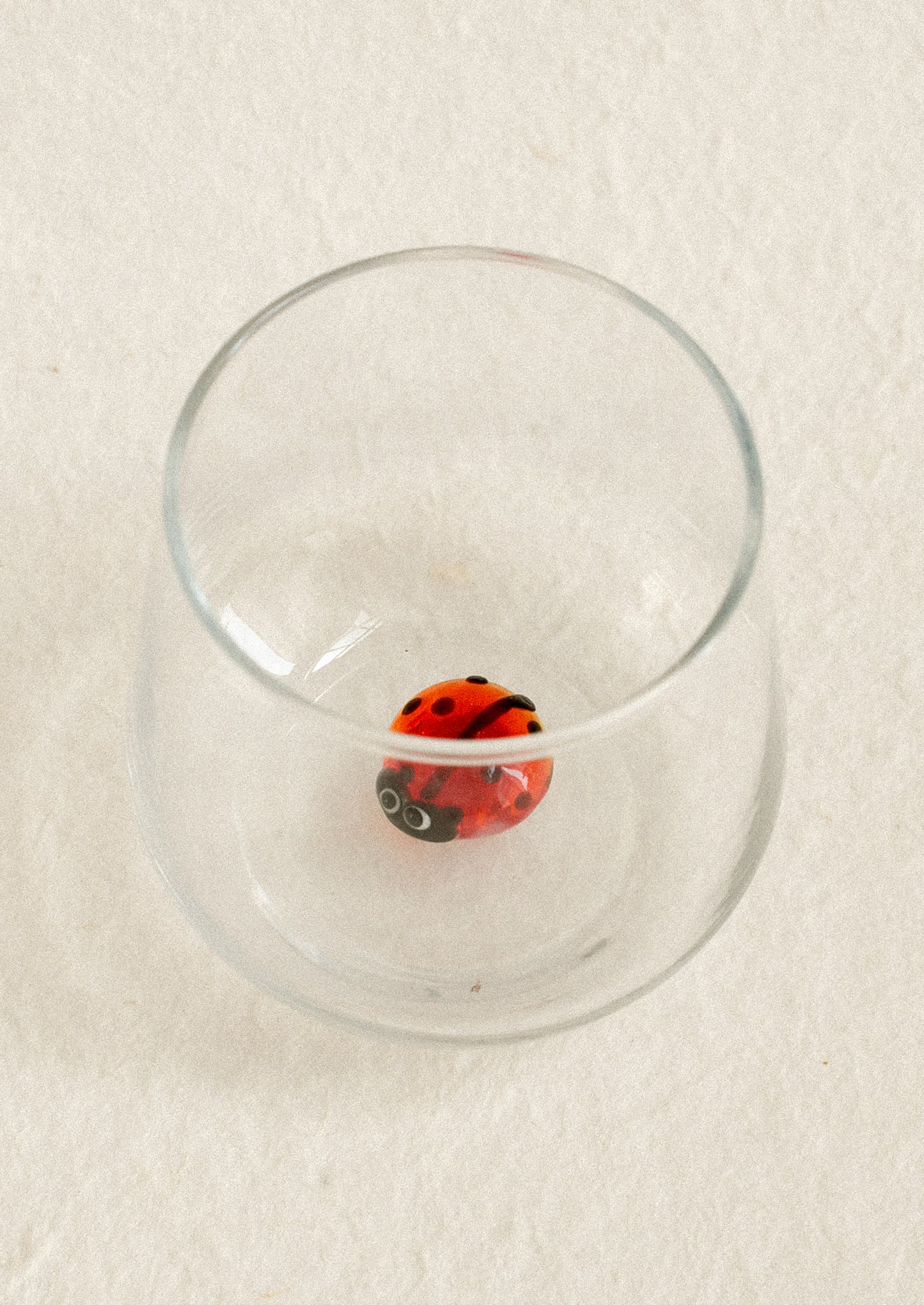 A small red and black ladybug bead resting inside a clear glass on a textured off-white background.