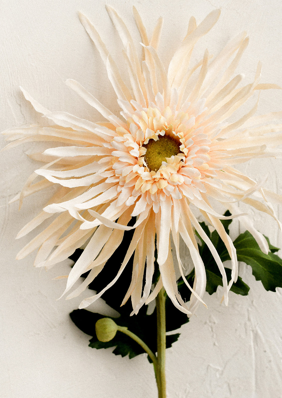 A faux floral stem in the likeness of a Spider Mum flower in peach color.