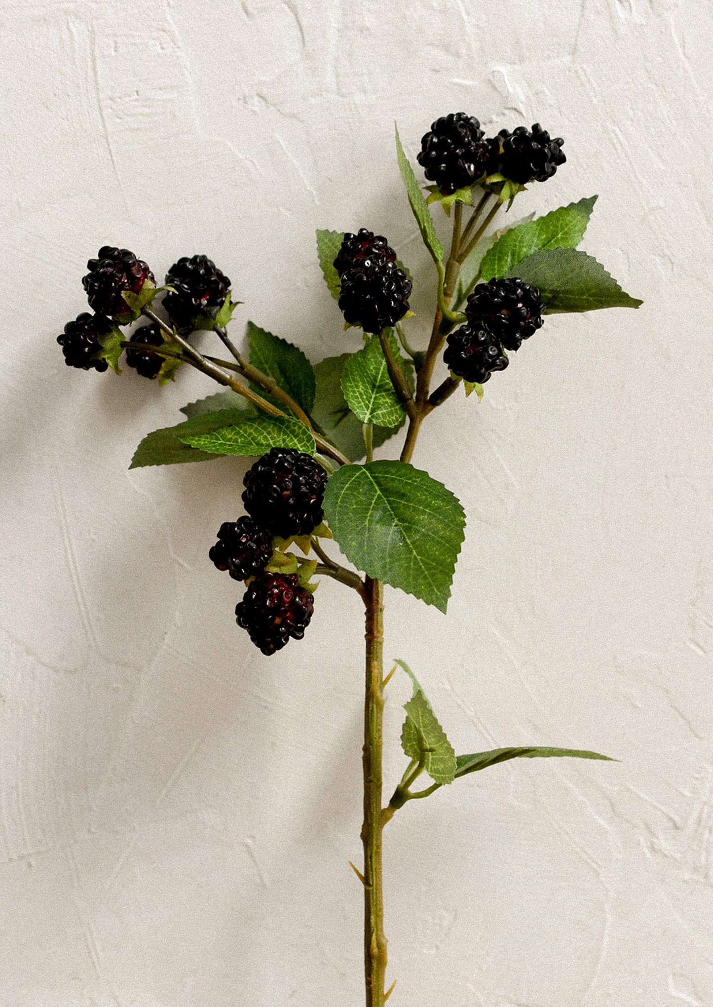 A faux floral stem depicting blackberries on a branch.