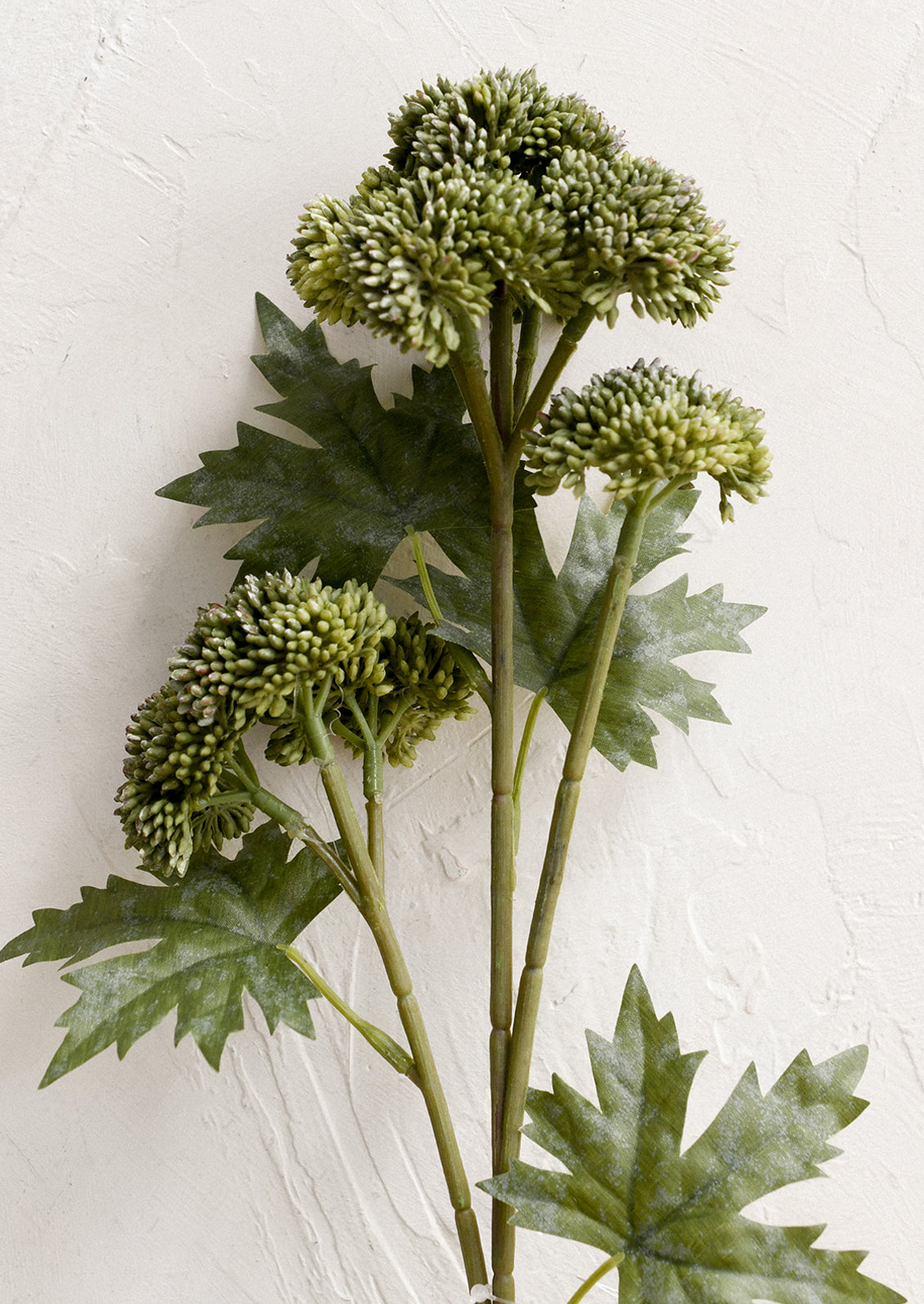 A faux floral stem depicting green sedum with leaves.