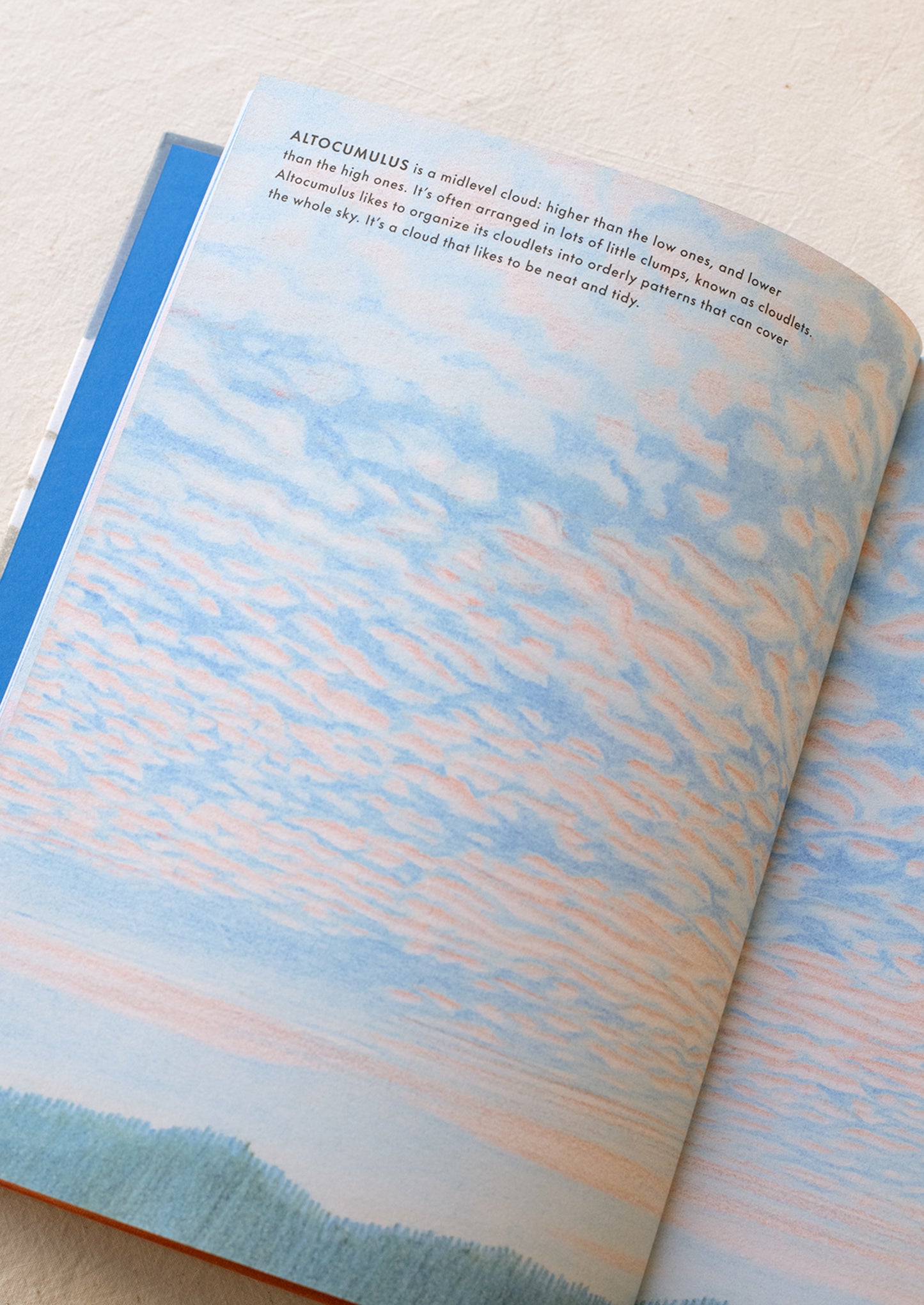 Interior pages of "Cloudspotting For Beginners" book.