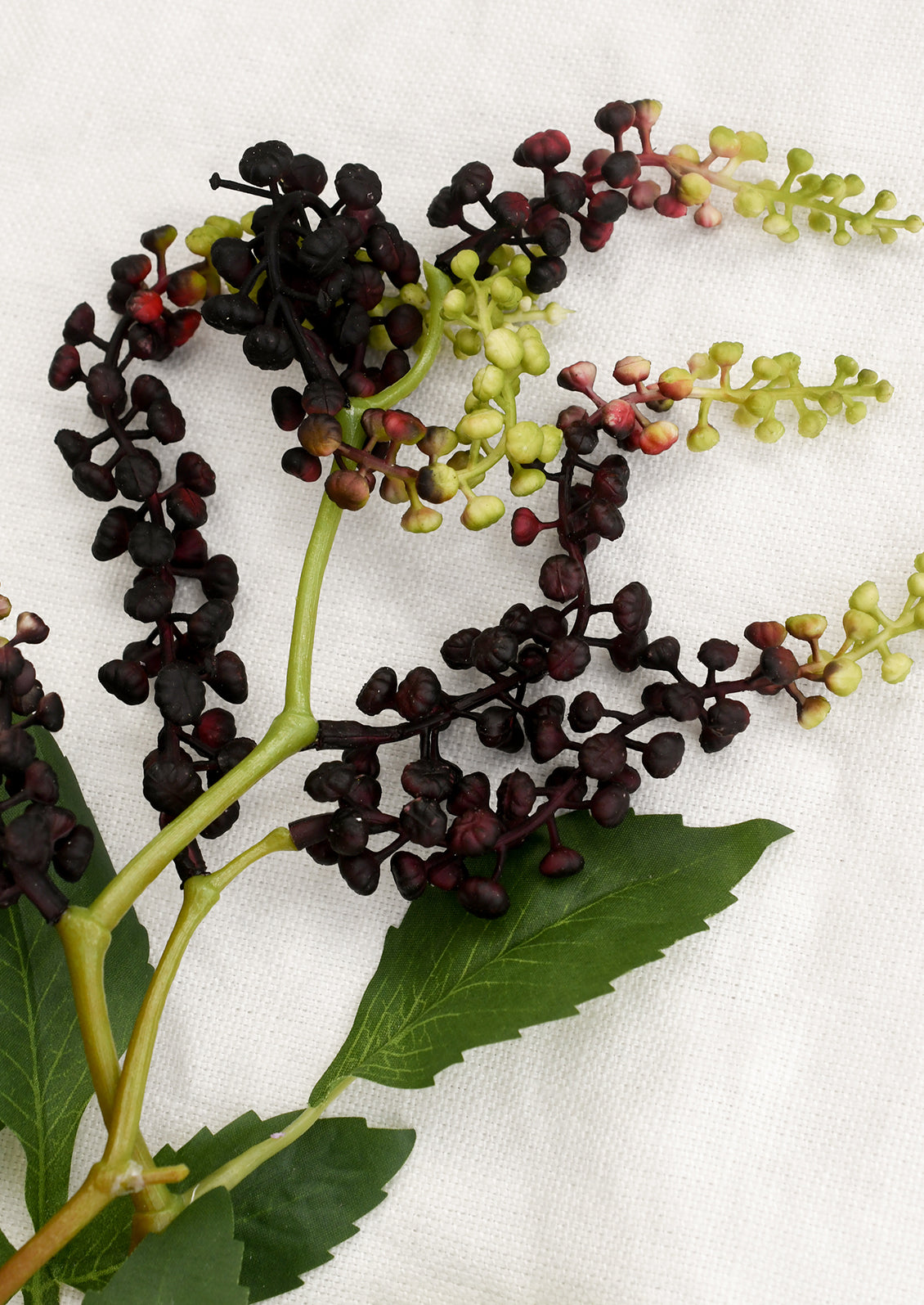 Artificial grapevine branch with green leaves and red berries on a white background