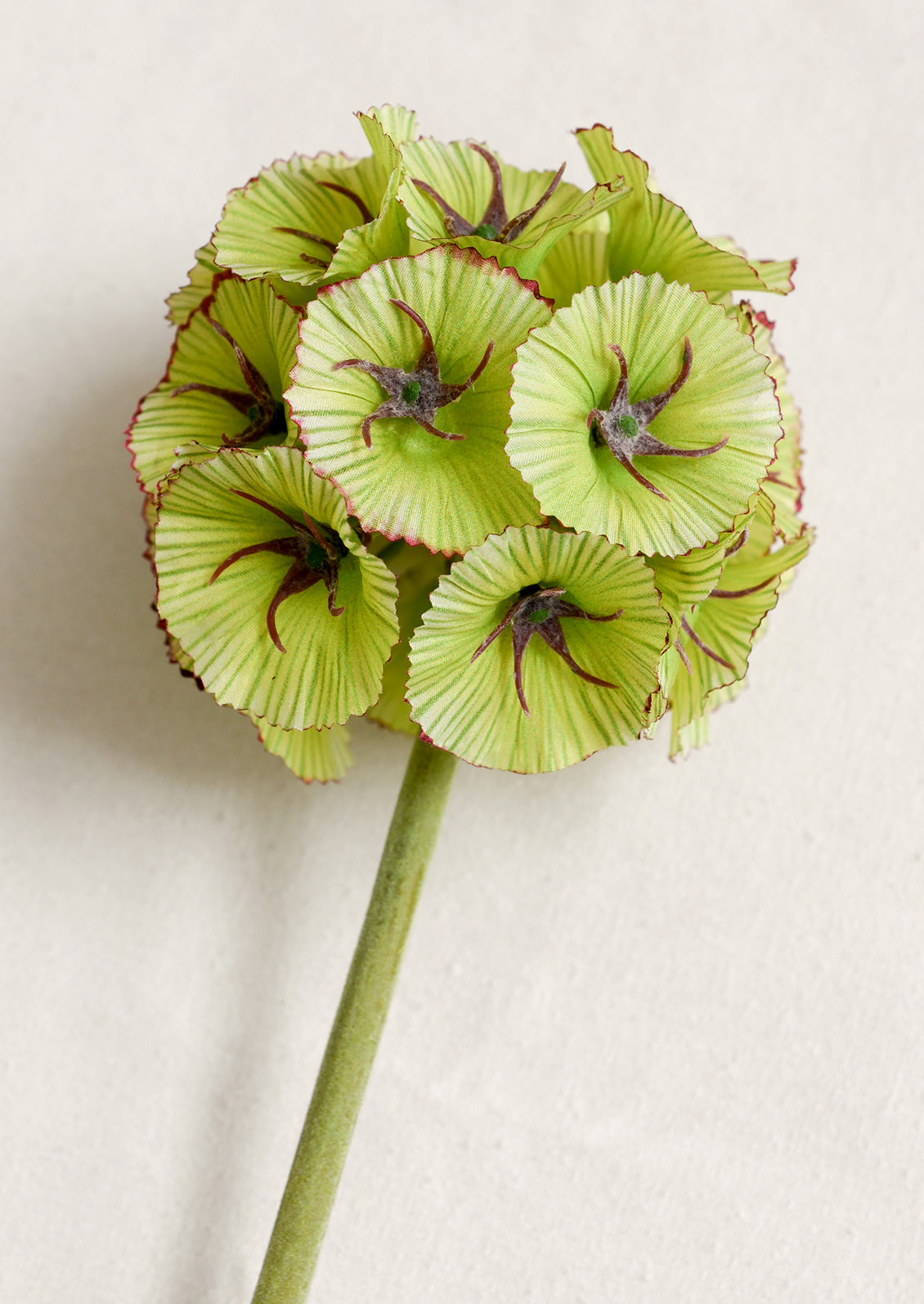 Faux Scabiosa Seedpod Stem