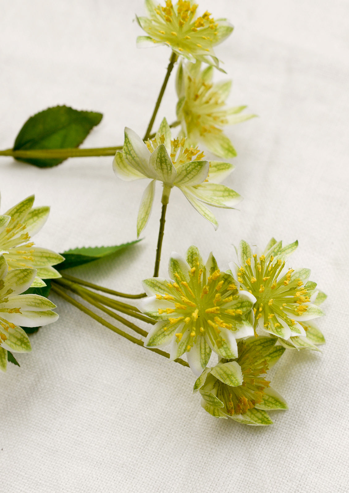 A faux flora spray of armeria flower in green.