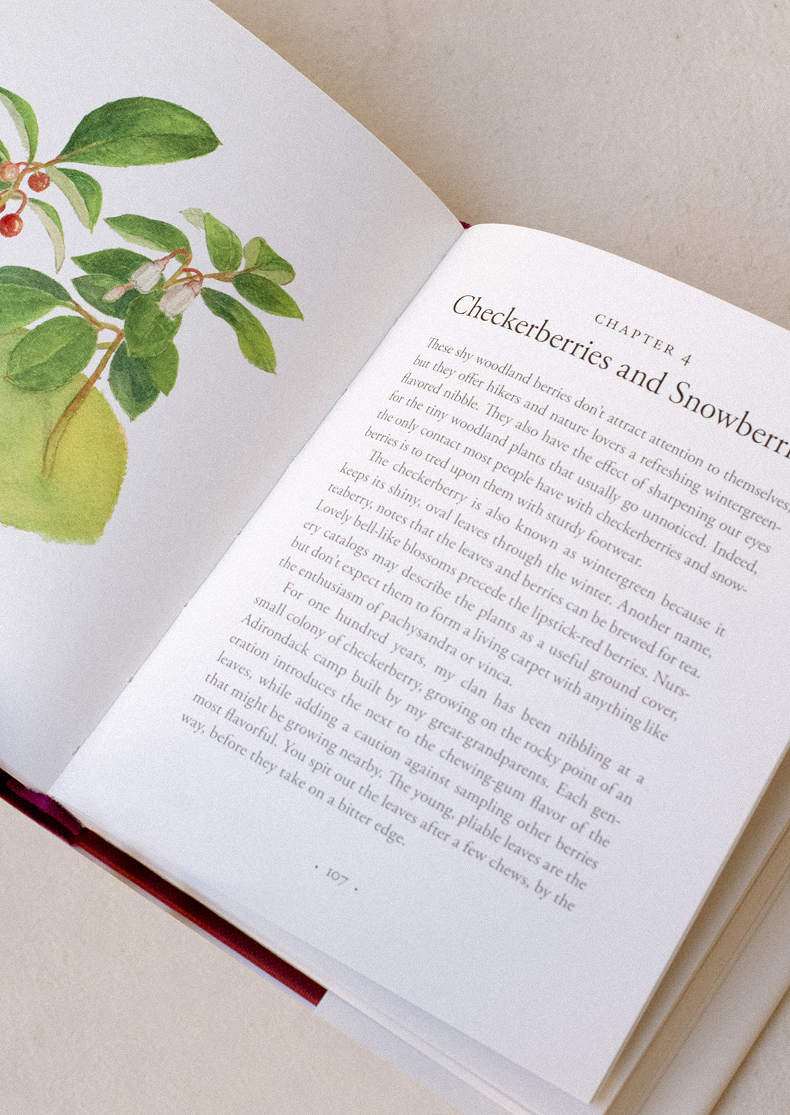 Interior pages of a book about types of berries.