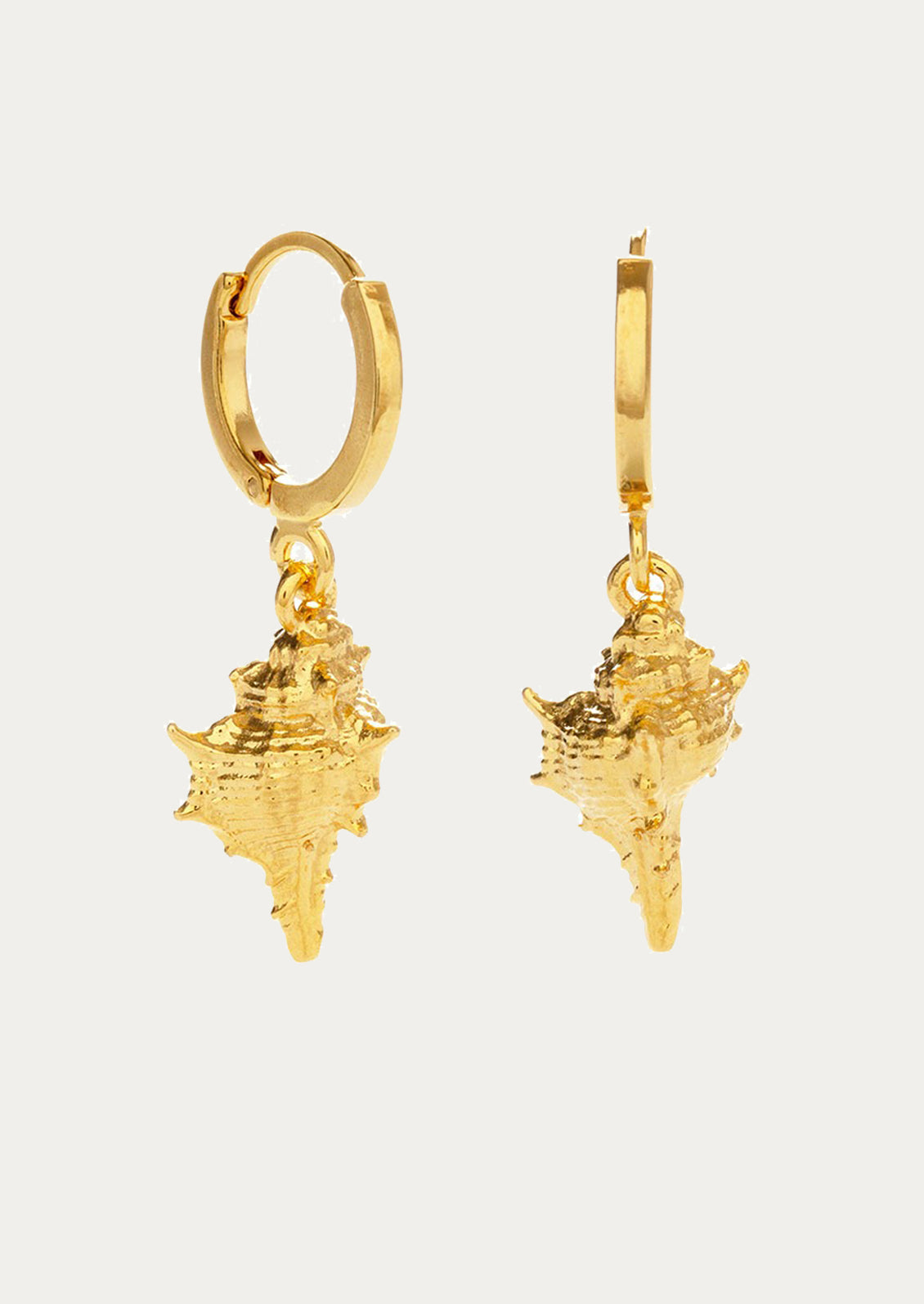 Gold conch shell earrings on a light gray background