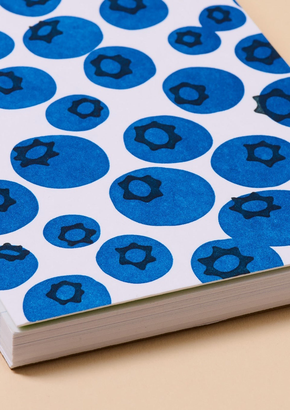 A Blueberry patterned notebook.