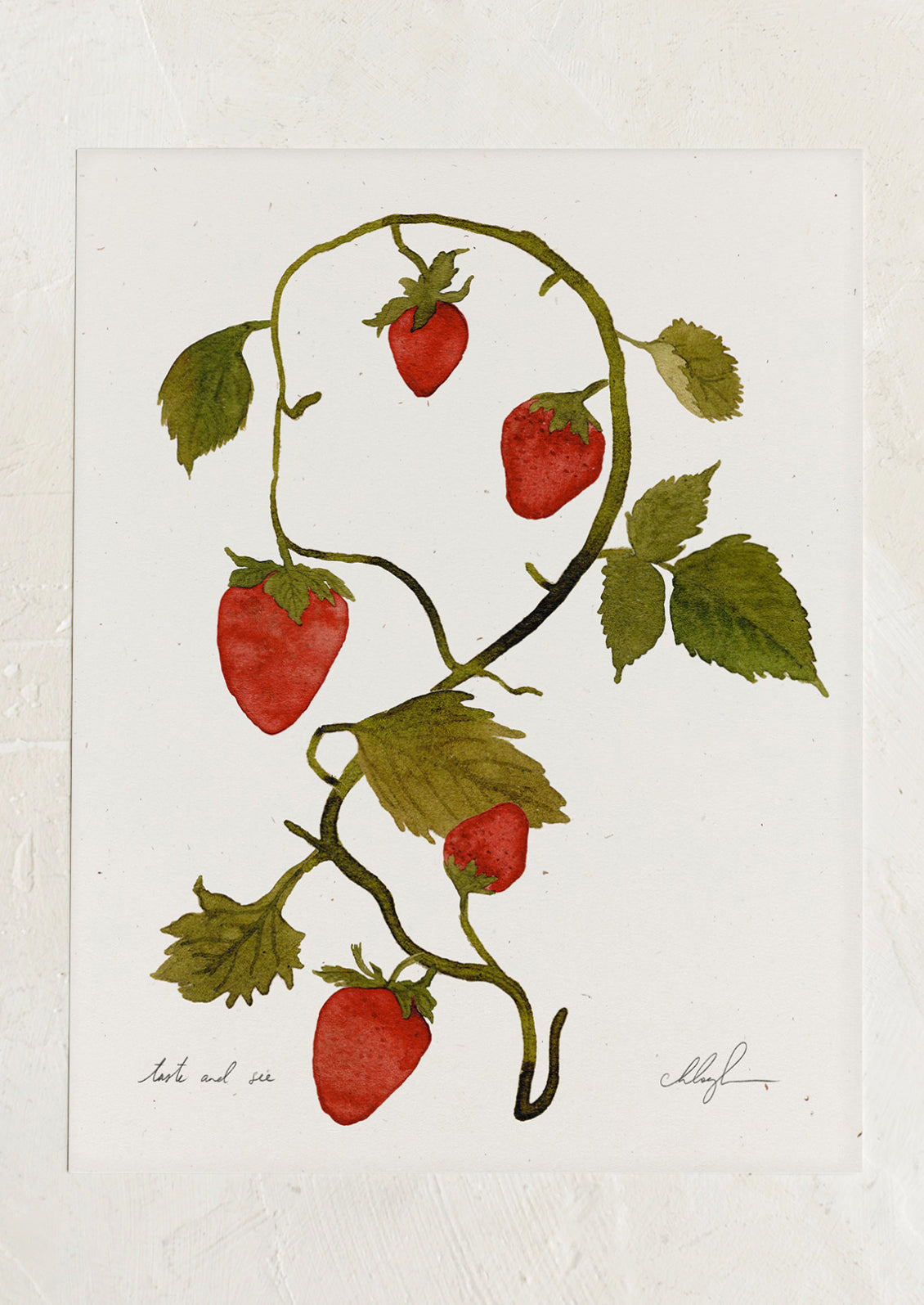 An art print of an illustration of strawberries on a vine.