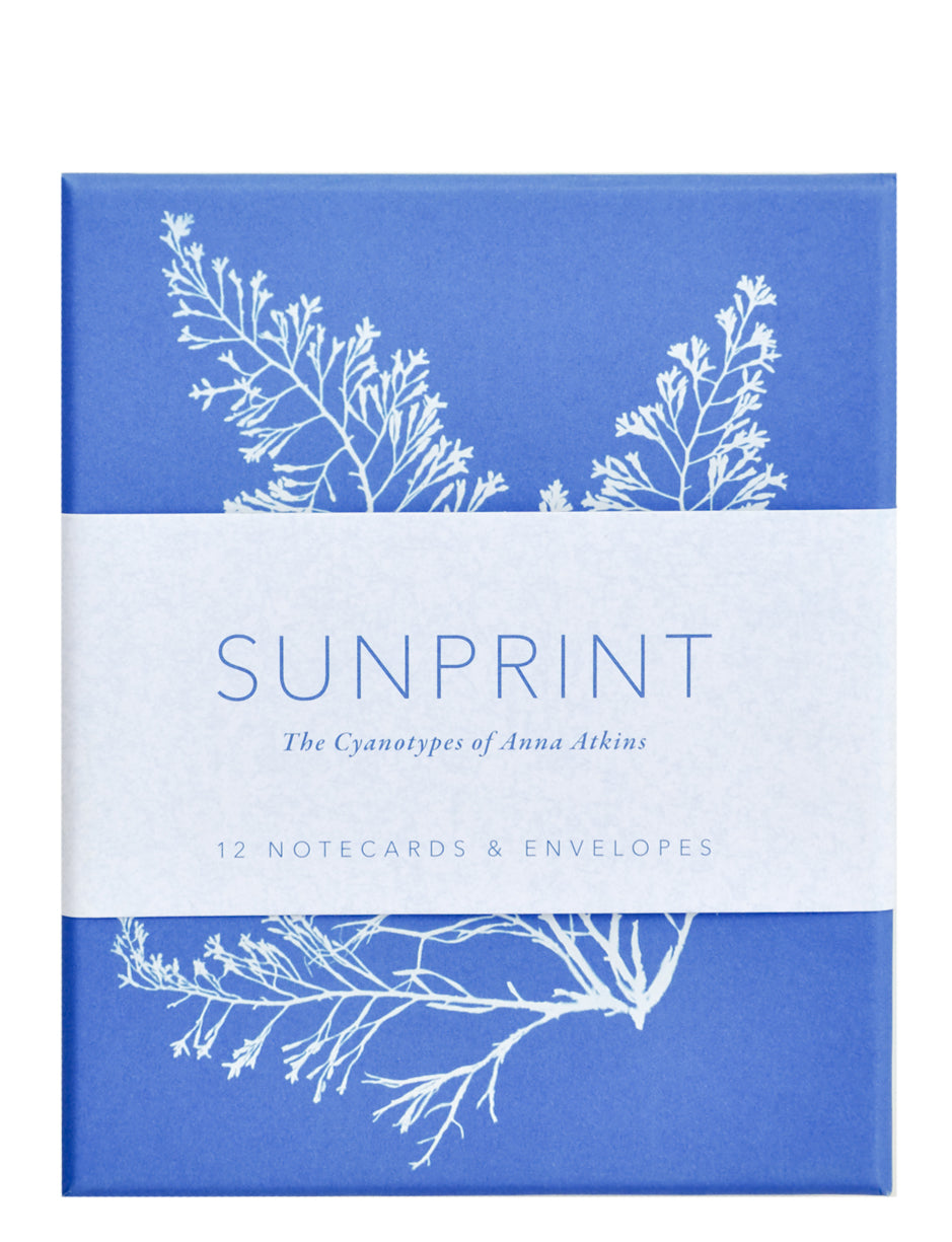 Sunprint Notecard Set in - LEIF