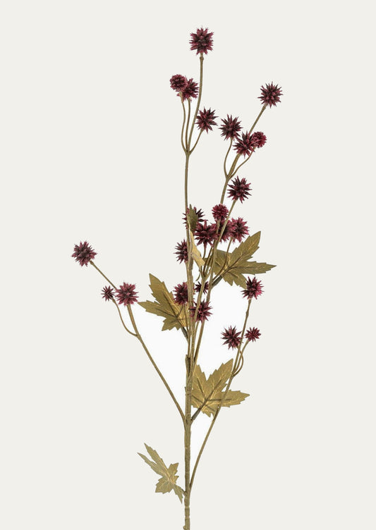 A faux red sanicula spray.