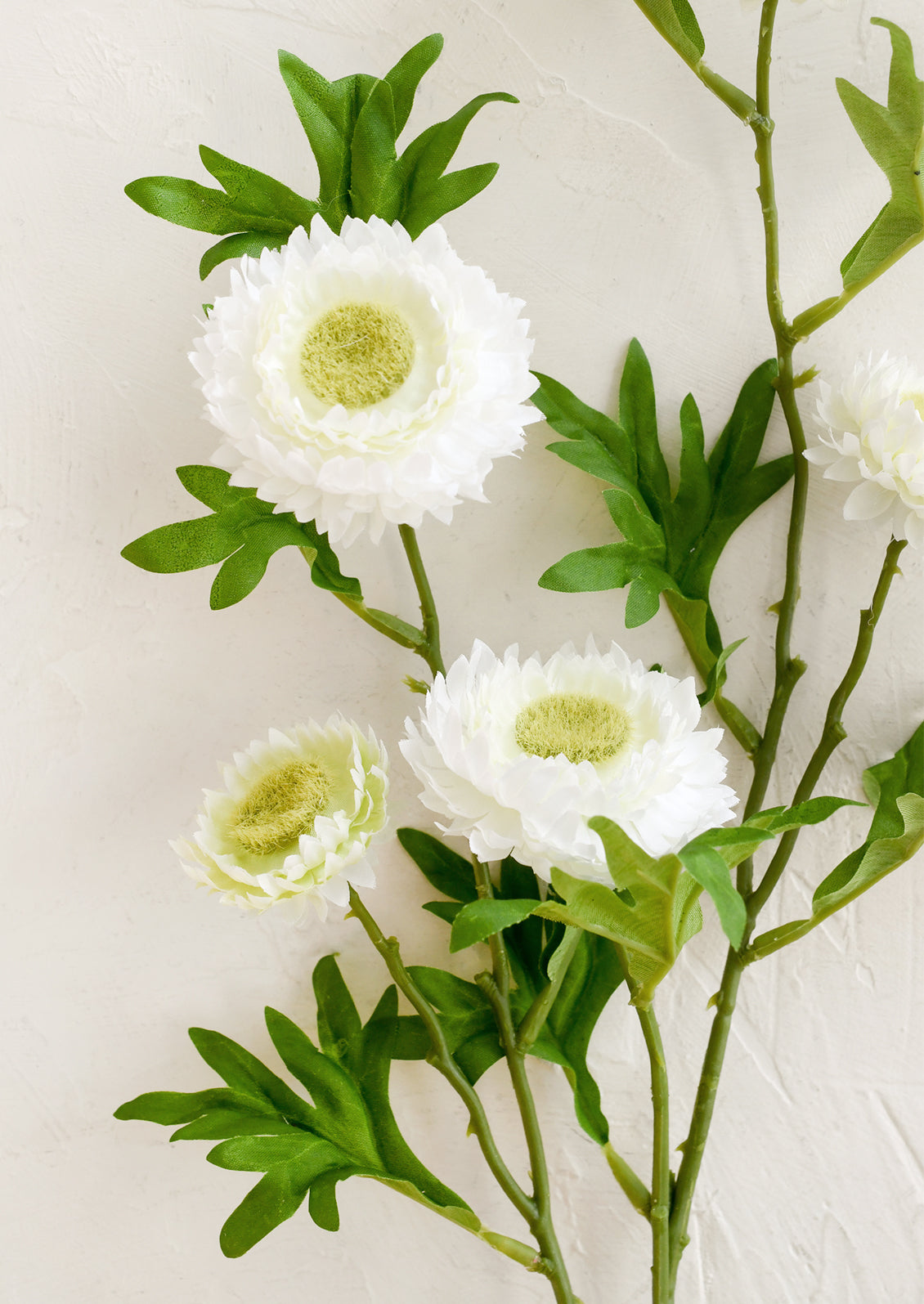 Artificial white flowers with green leaves on a light background