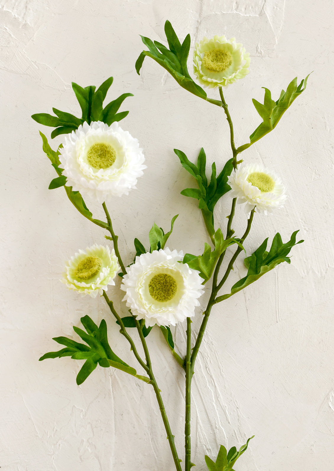 Artificial flower branch with white flowers and green leaves on a light background