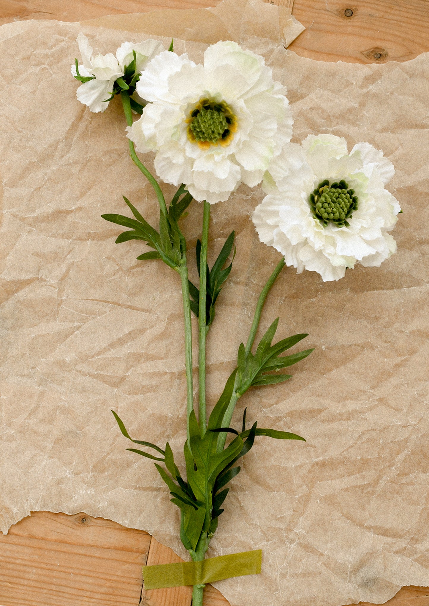 Three white flowers with green centers on a textured brown paper background