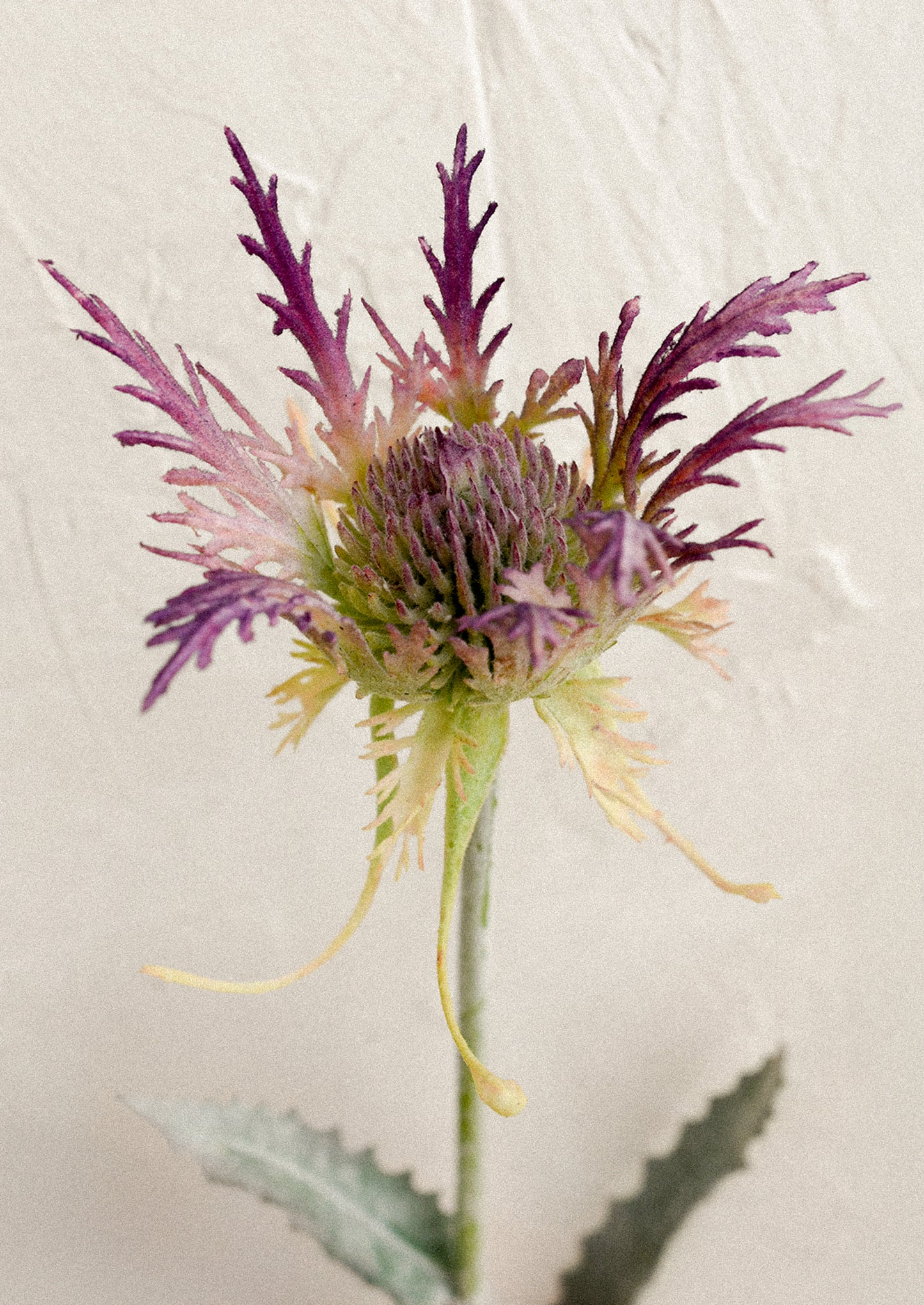 A faux flower stem depicting a purple thistle flower.