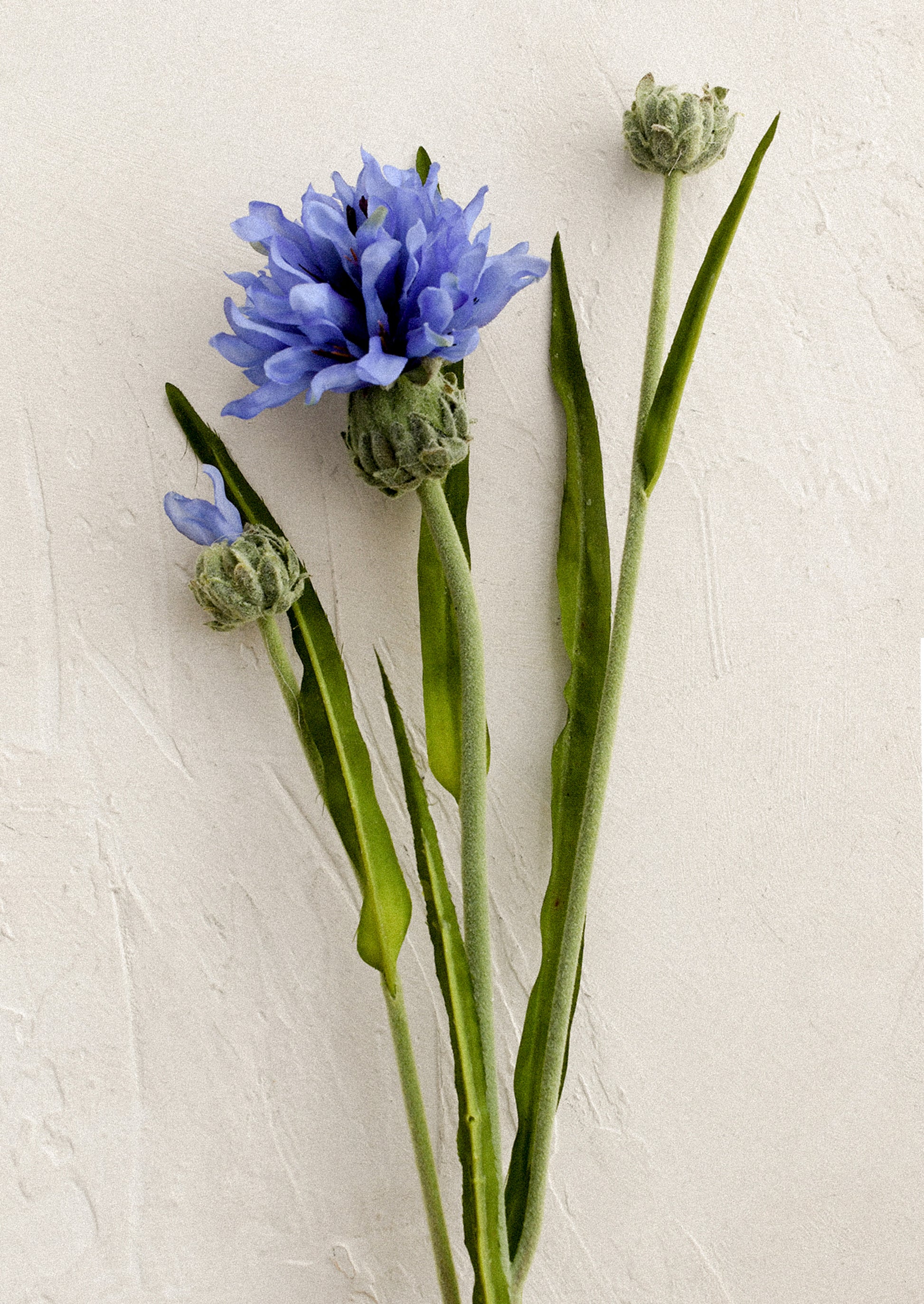 A faux flower stem in the likeness of a blue cornflower spray.