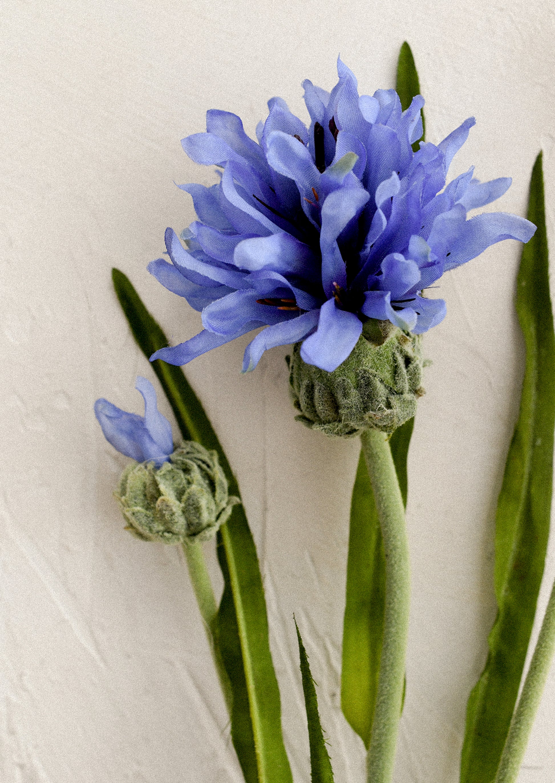 A faux flower stem in the likeness of a blue cornflower spray.