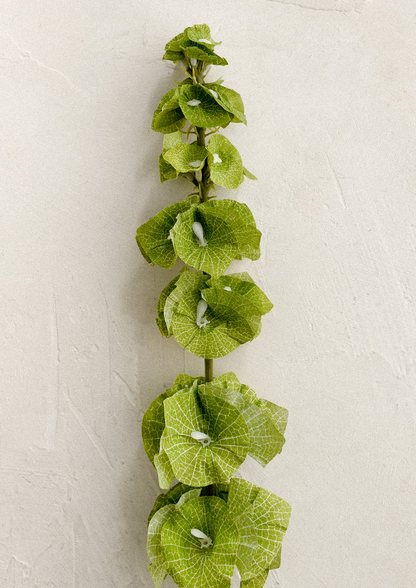 A faux greenery stem in the likeness of Bells of Ireland.