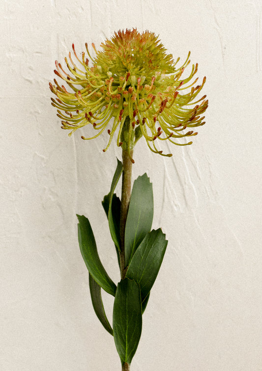 A faux flower stem in the likeness of a protea flower.