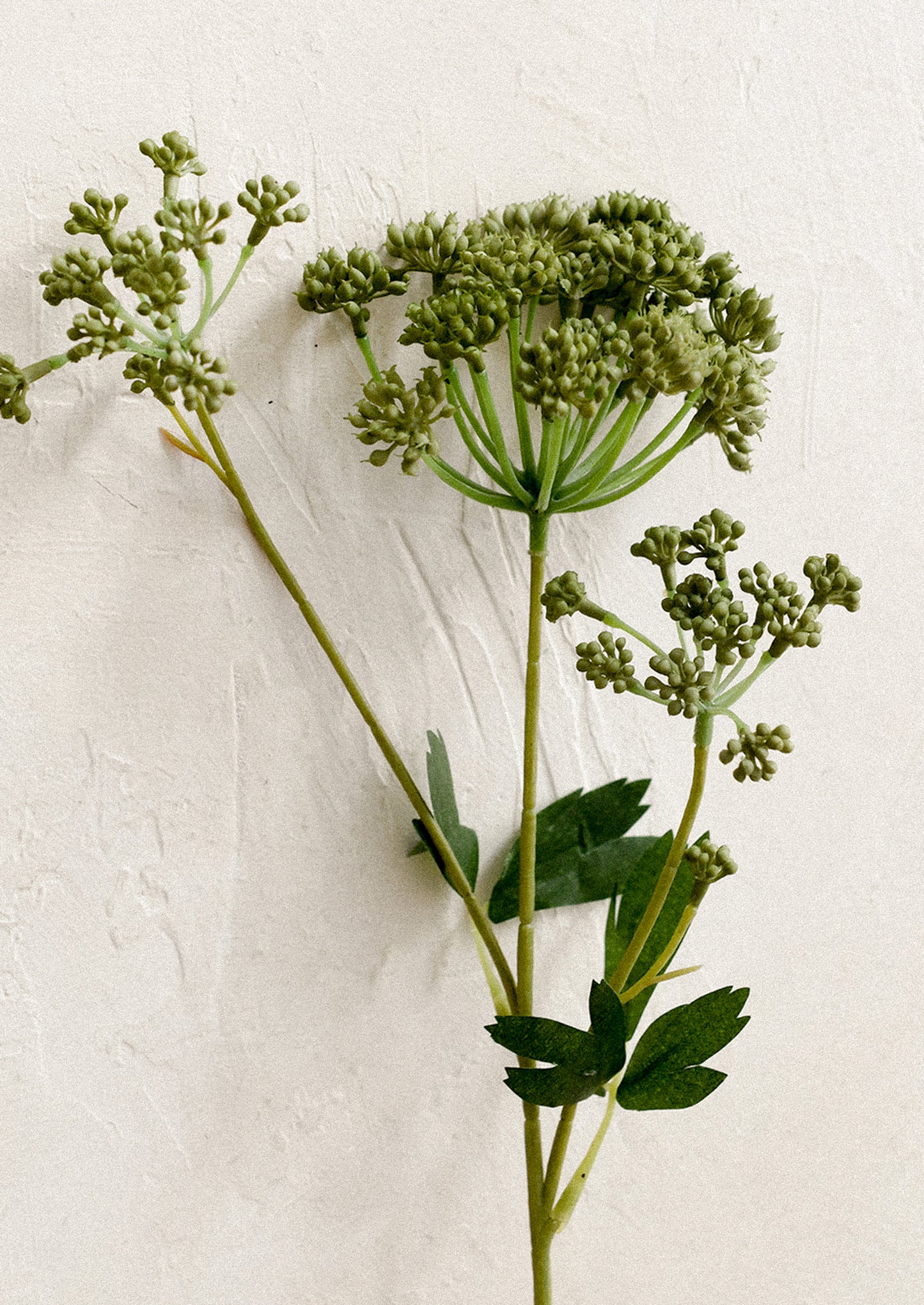 A faux flower stem in the likeness of a green angelica flower spray.