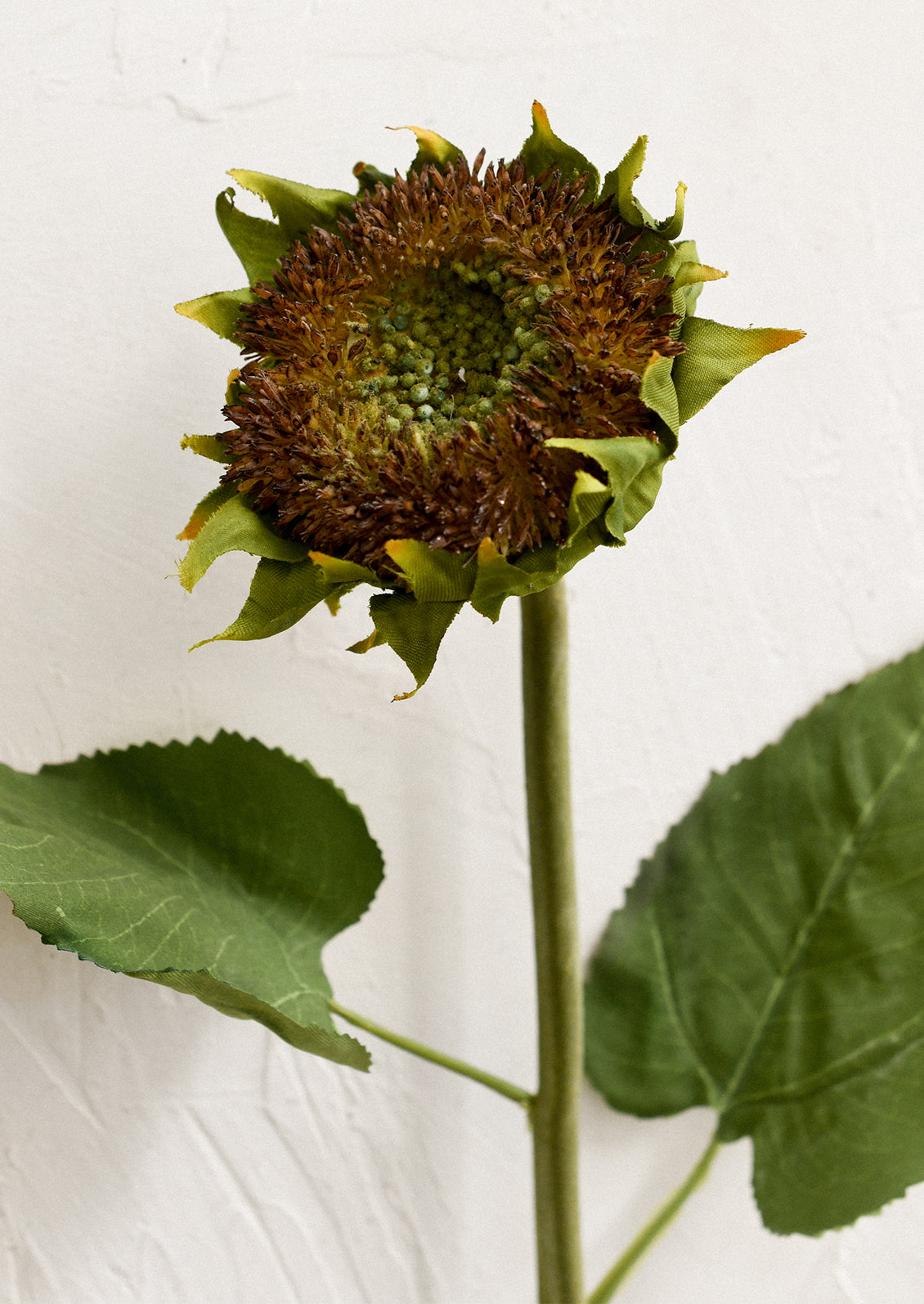 A faux flower stem depicting a brown and green sunflower.