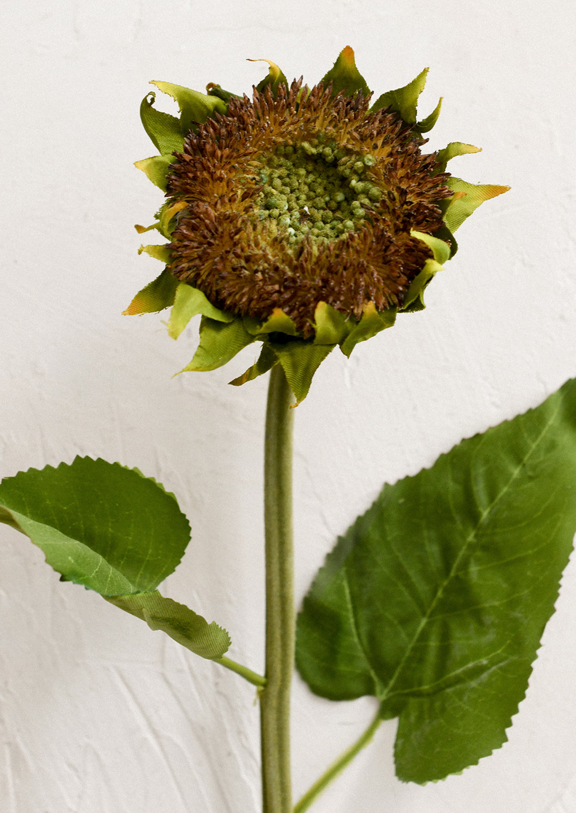 A faux flower stem depicting a brown and green sunflower.