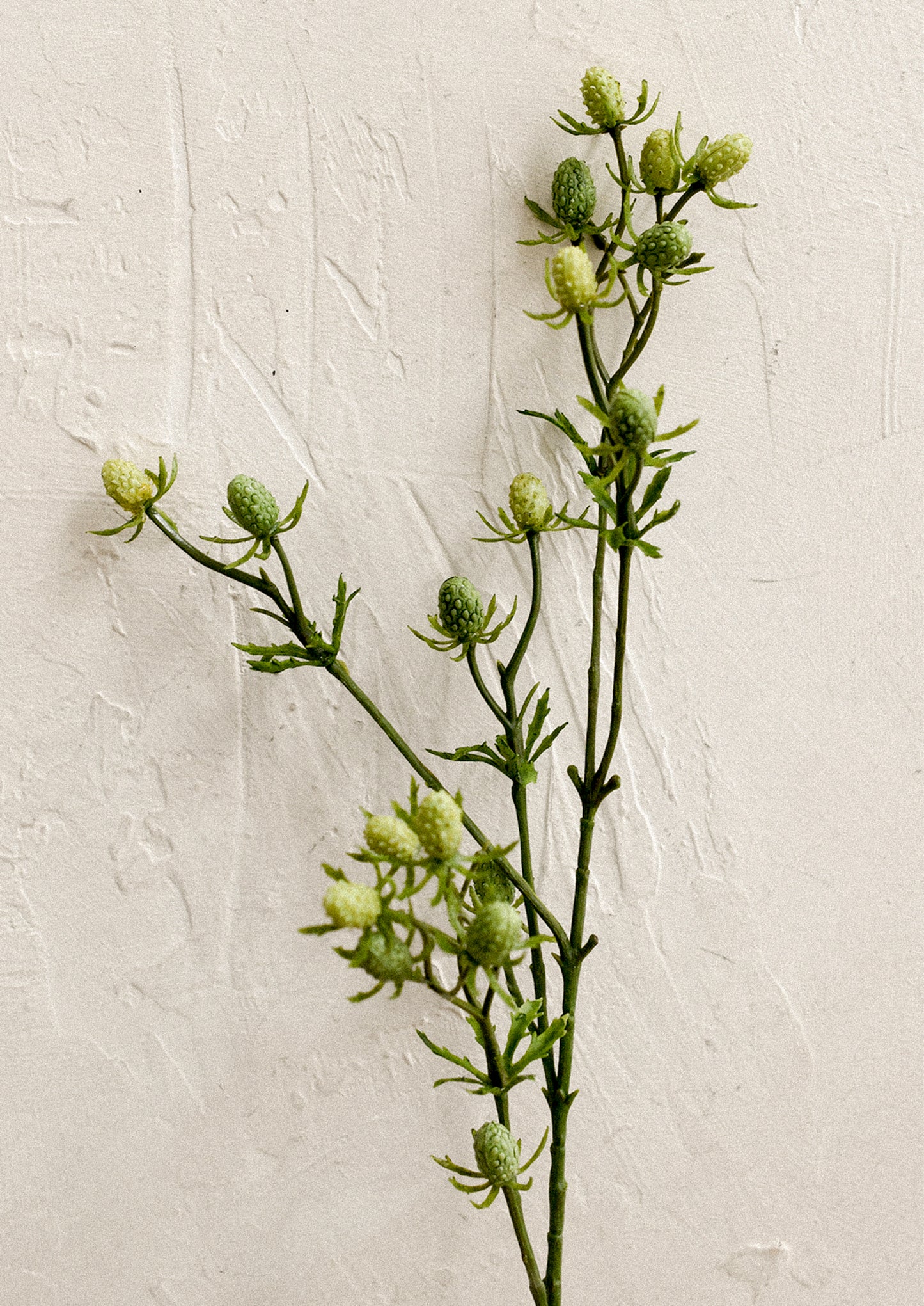 A faux greenery spray in the likeness of green eryngium.