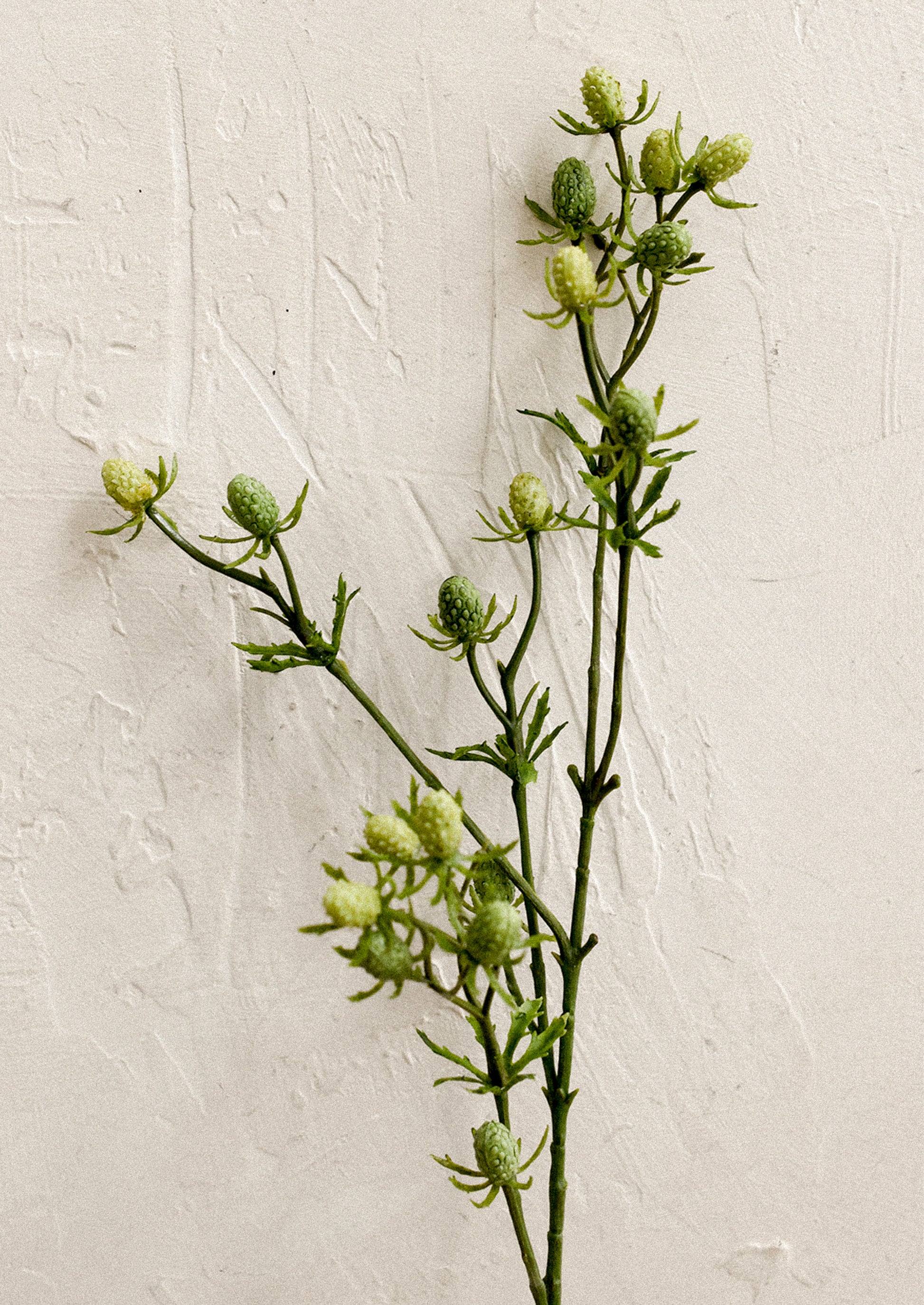 A faux greenery spray in the likeness of green eryngium.