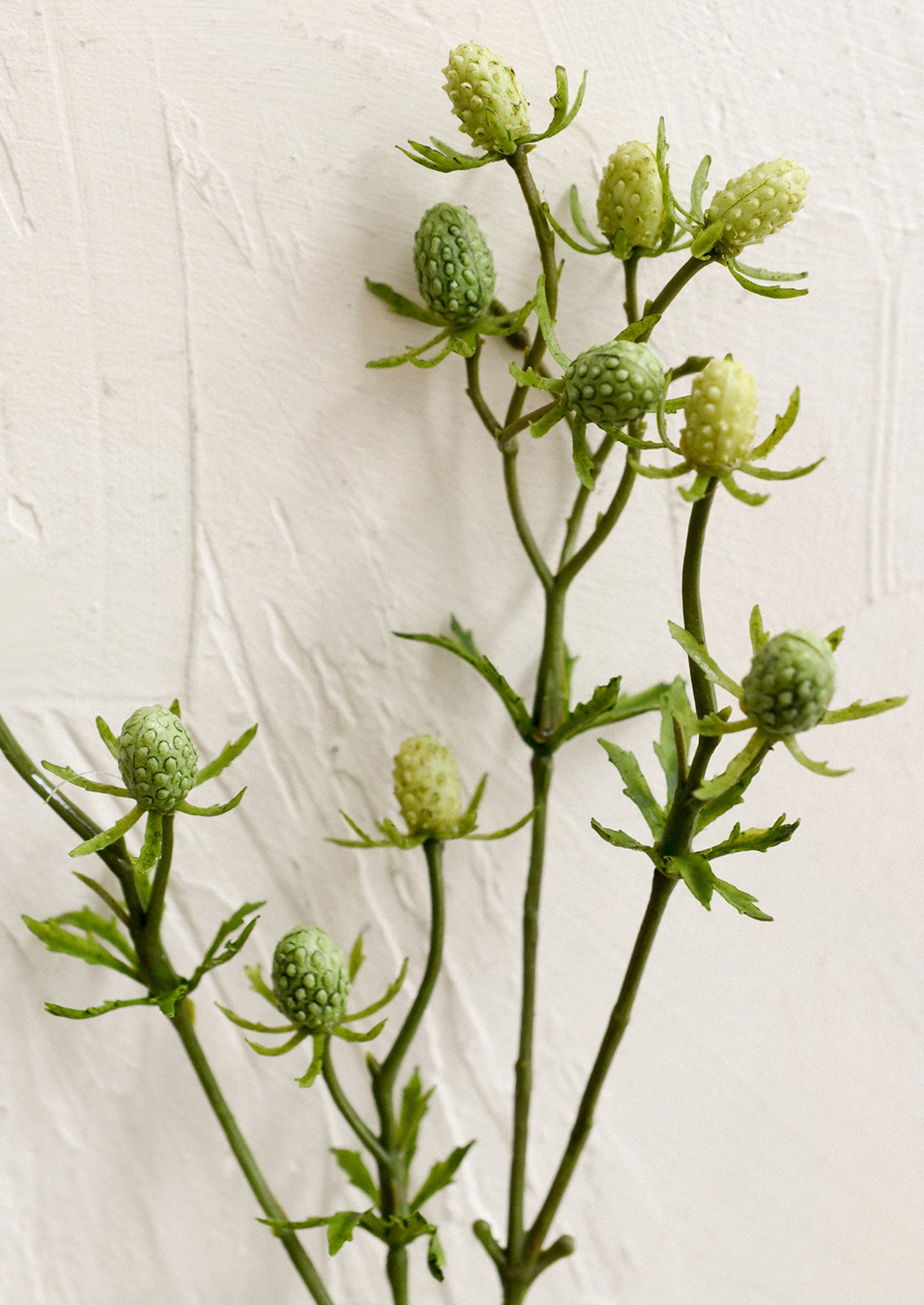 A faux greenery spray in the likeness of green eryngium.