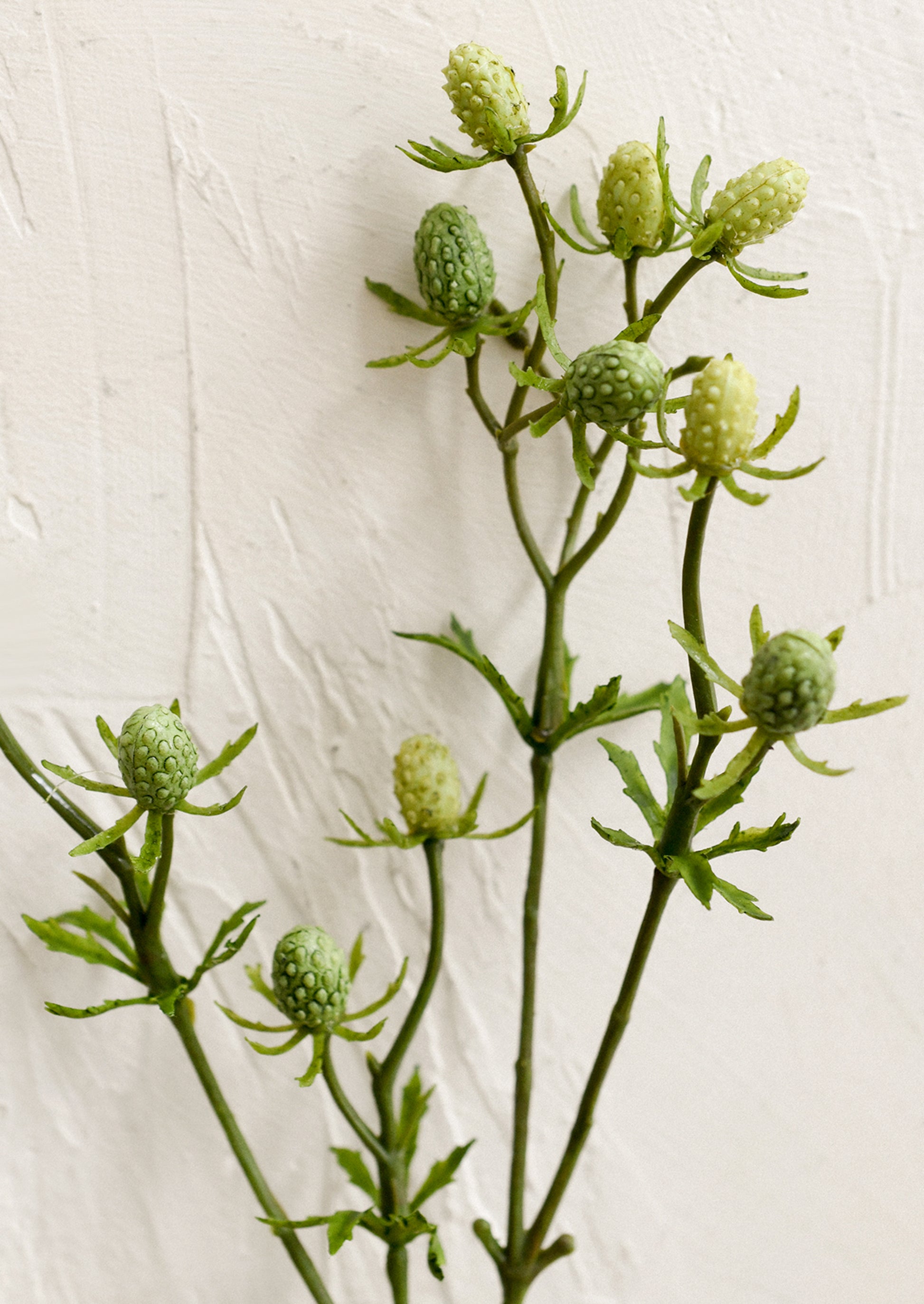A faux greenery spray in the likeness of green eryngium.