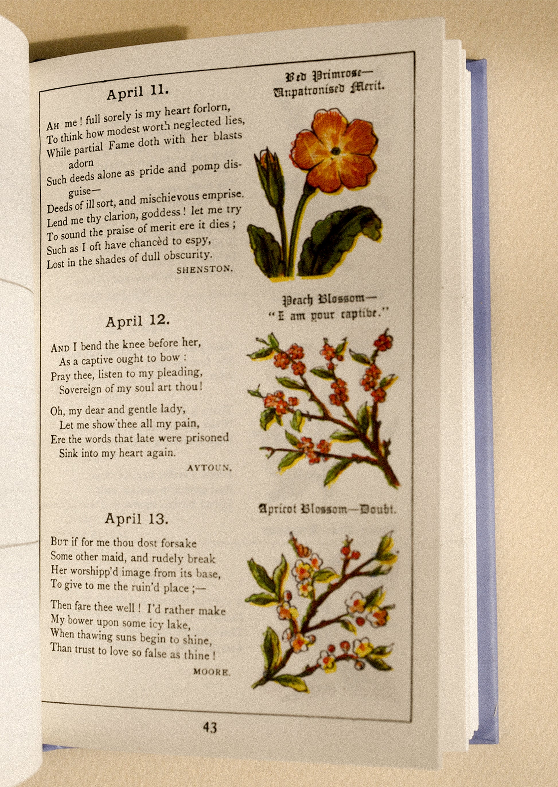 Interior pages of a book with poems and days of the year with corresponding flowers.