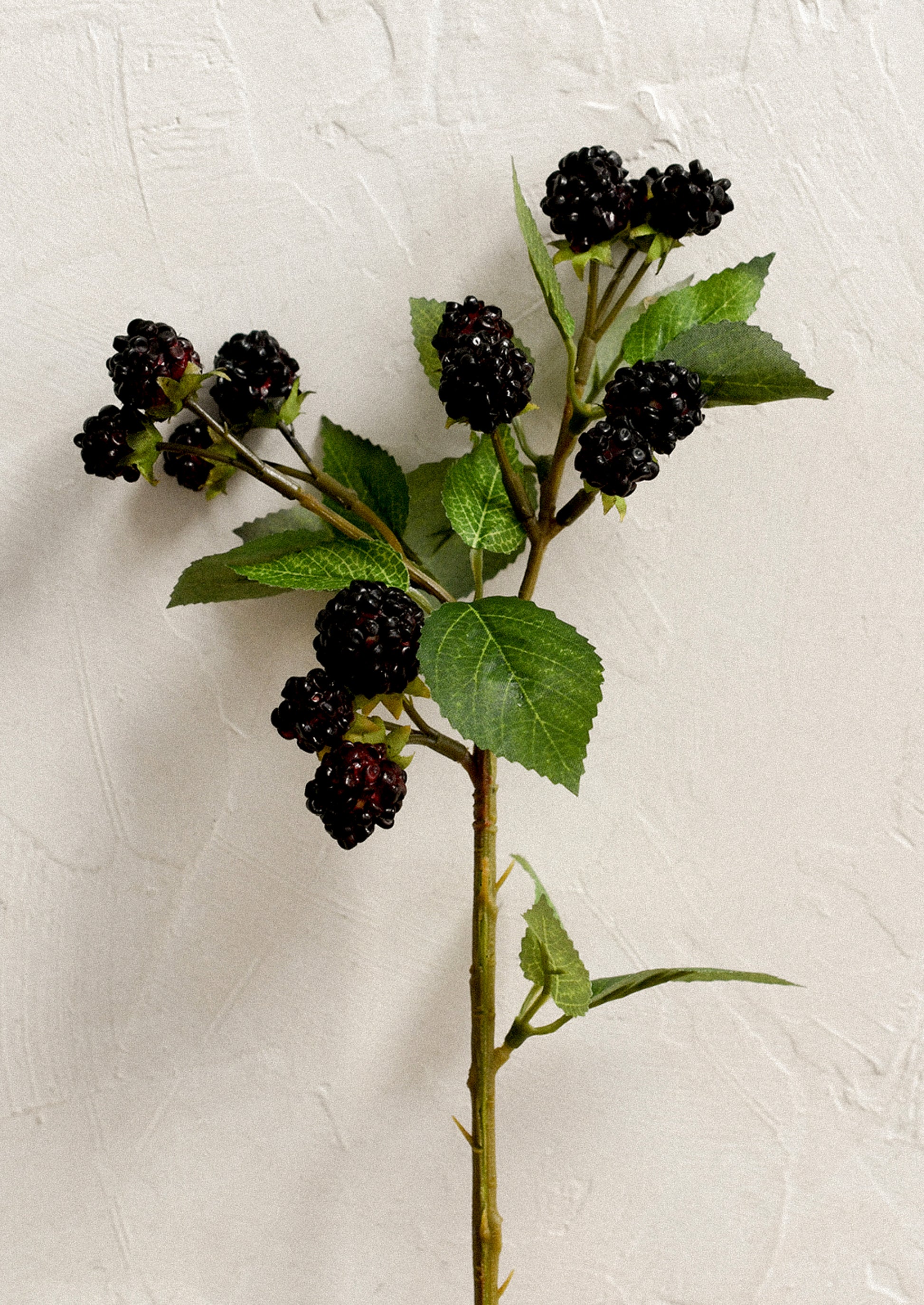 A faux floral stem depicting blackberries on a branch.