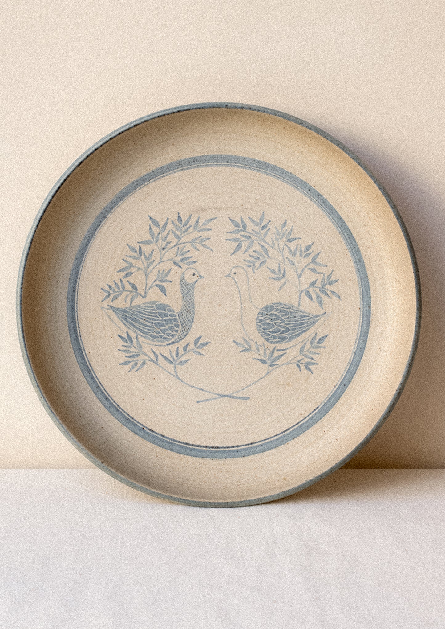 Ceramic plate with blue bird design on a beige background.