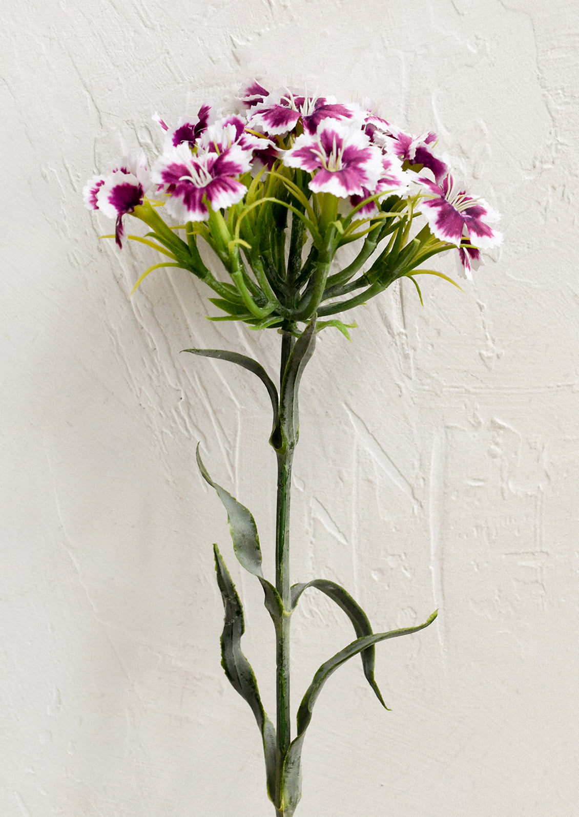 A faux floral stem depicting pink and white sweet william/dianthus.