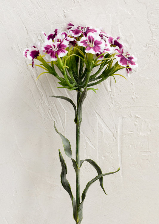 A faux floral stem depicting pink and white sweet william/dianthus.