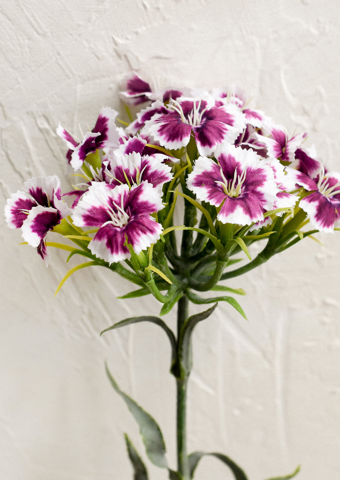 A faux floral stem depicting pink and white sweet william/dianthus.