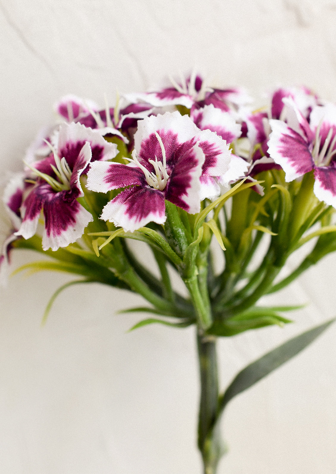 A faux floral stem depicting pink and white sweet william/dianthus.