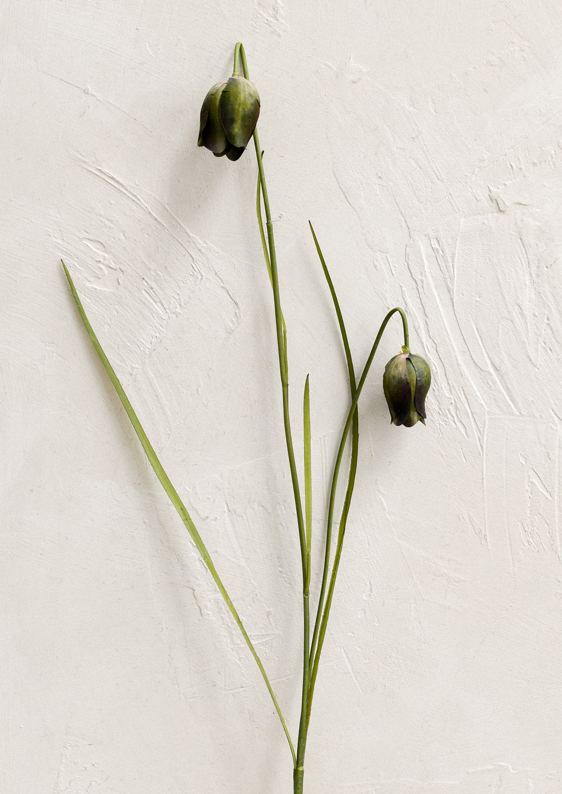 A sparse faux floral stem depicting budding frittalaria.