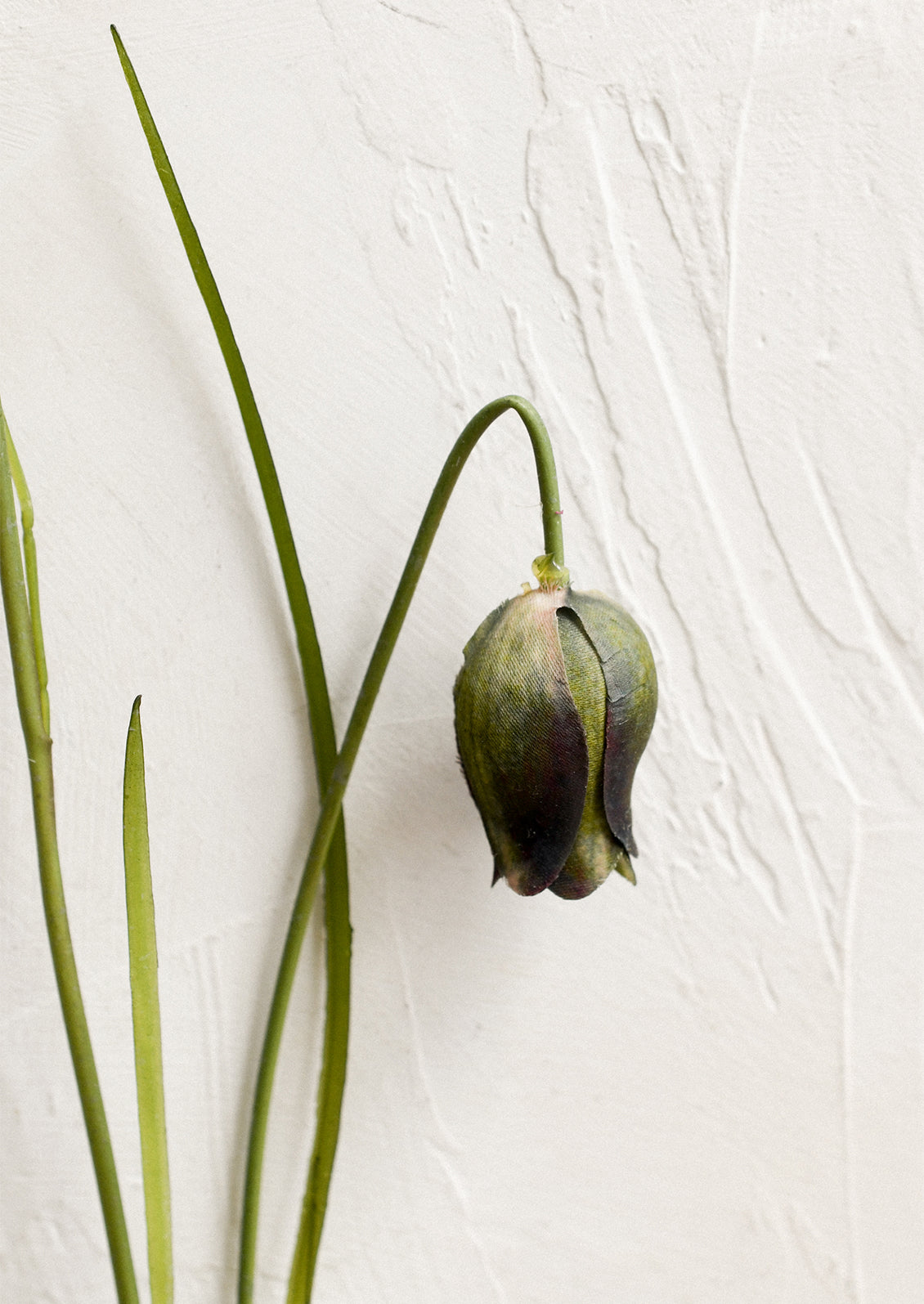 A sparse faux floral stem depicting budding frittalaria.