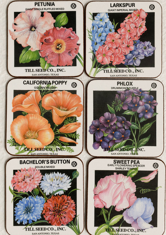 Set of six vintage seed packet designs featuring different flowers with Till Seed Co., Inc. branding.