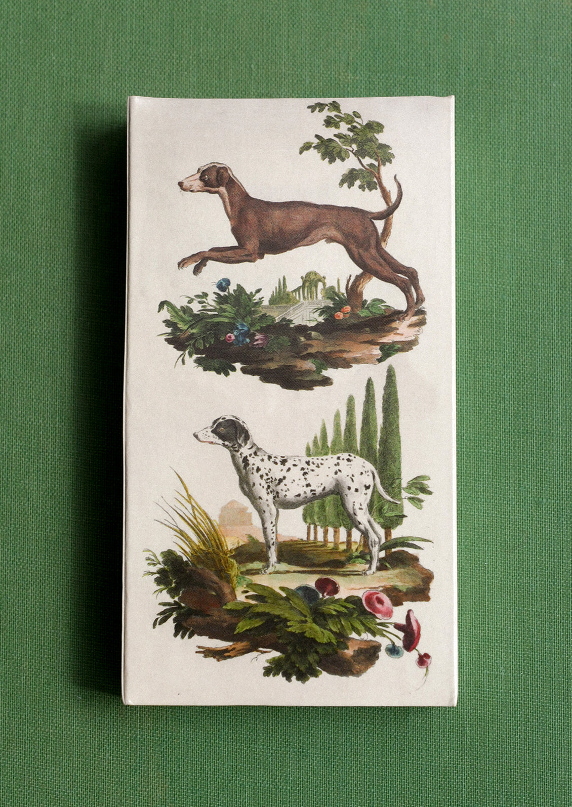 A matchbox with greyhound design, holding green-tipped matches.