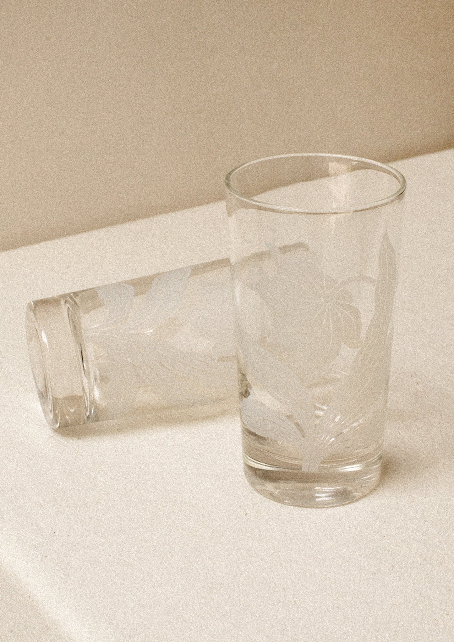 A pair of clear tall tumblers with frosted white daffodil graphic.