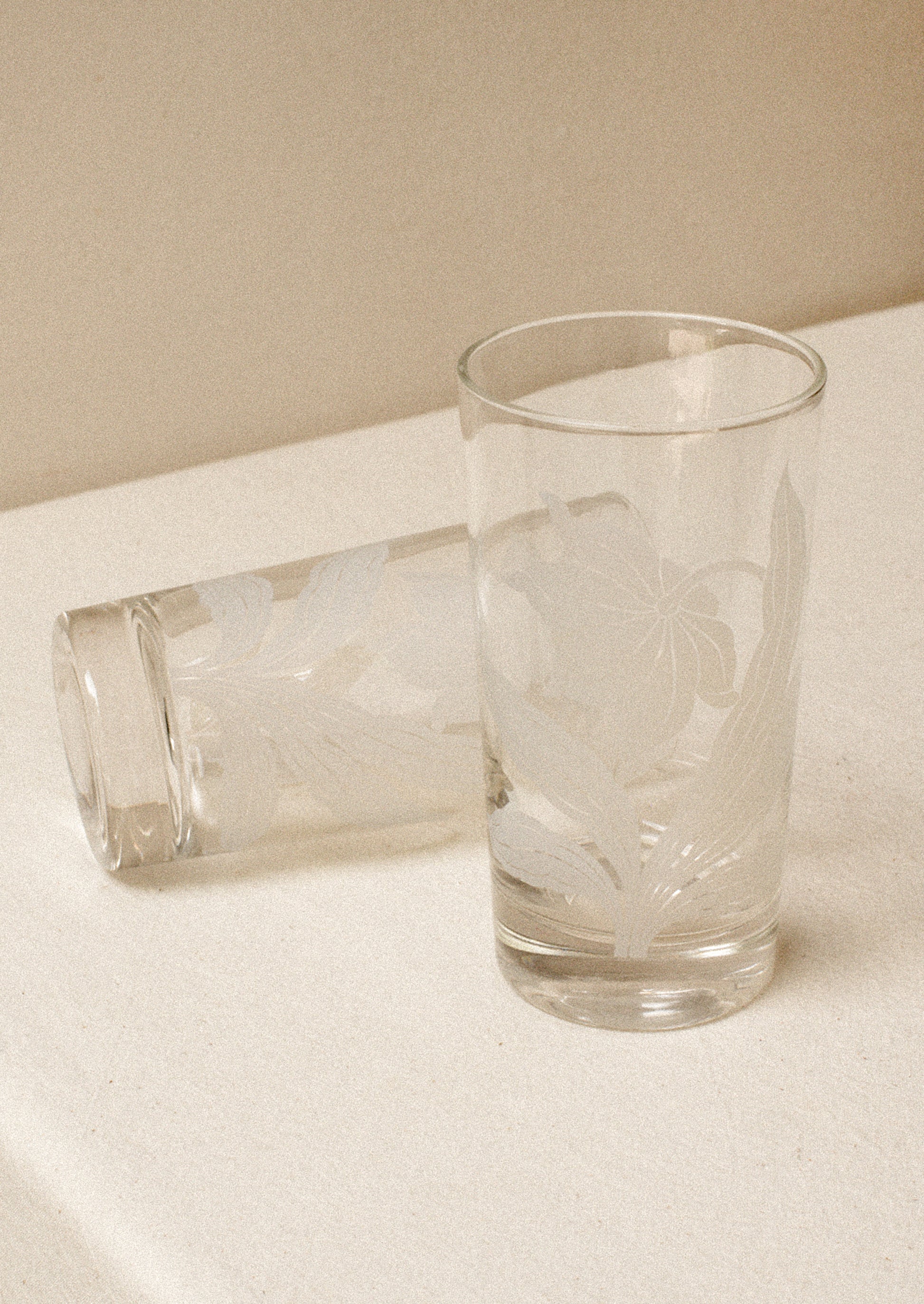 A pair of clear tall tumblers with frosted white daffodil graphic.