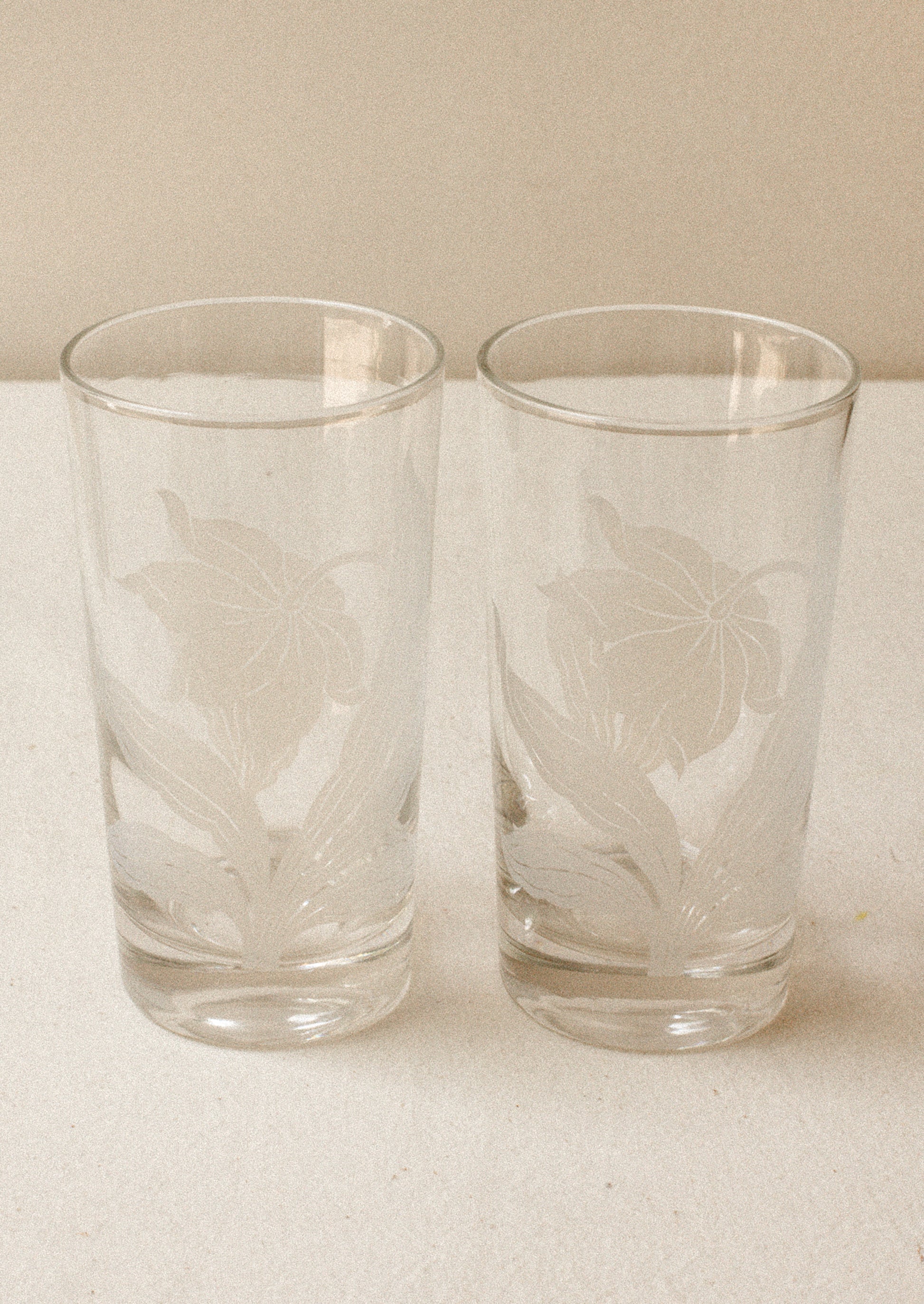 A pair of clear tall tumblers with frosted white daffodil graphic.