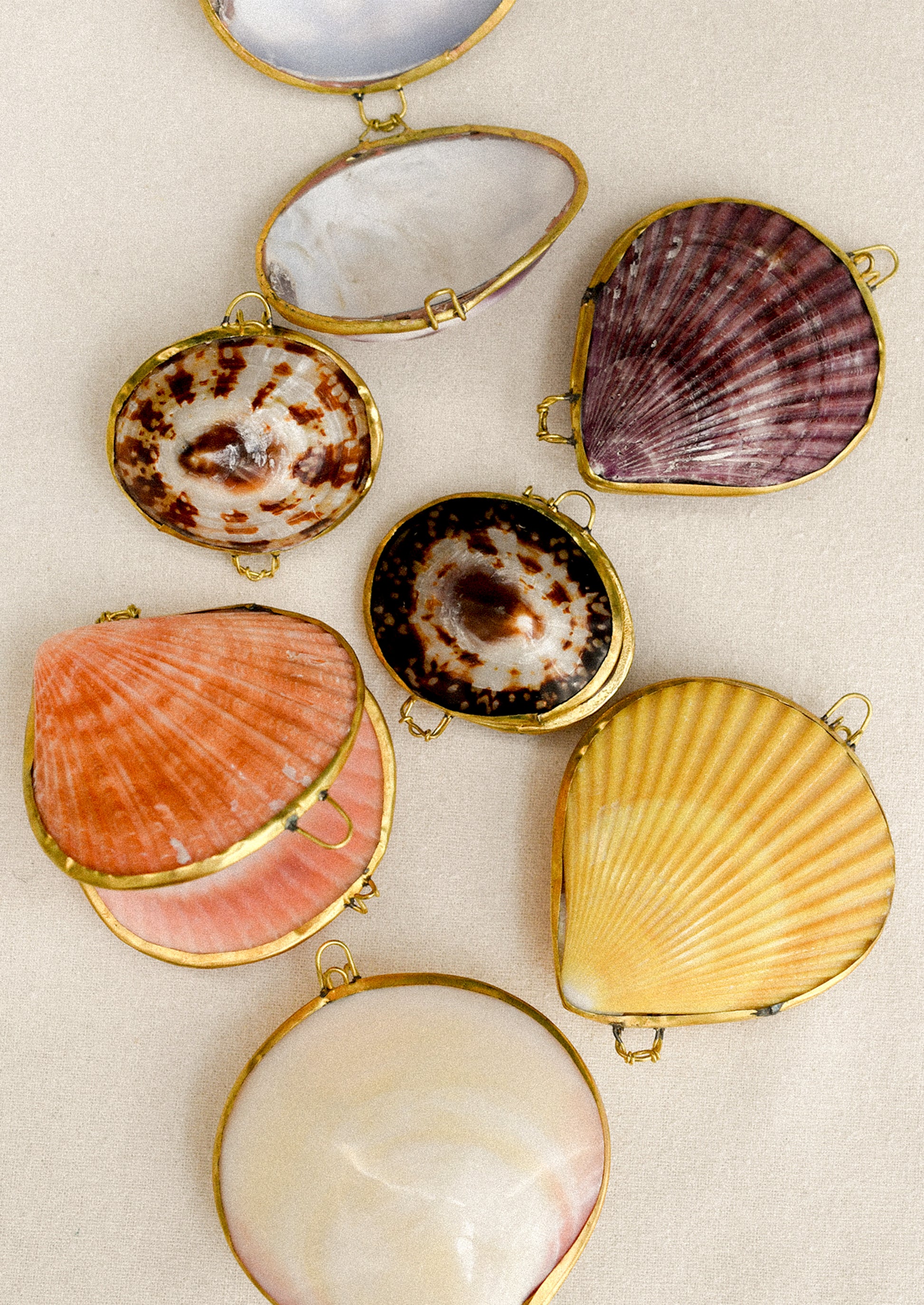 Collection of shell-shaped jewelry boxes on a beige background