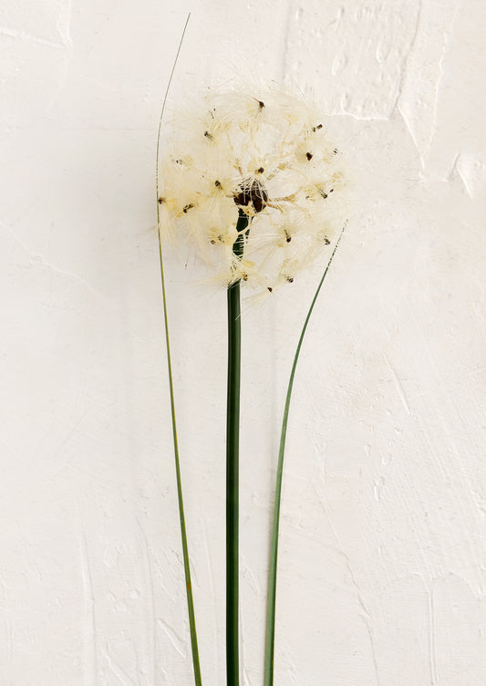 White faux dandelion flower with green stem on a light beige background