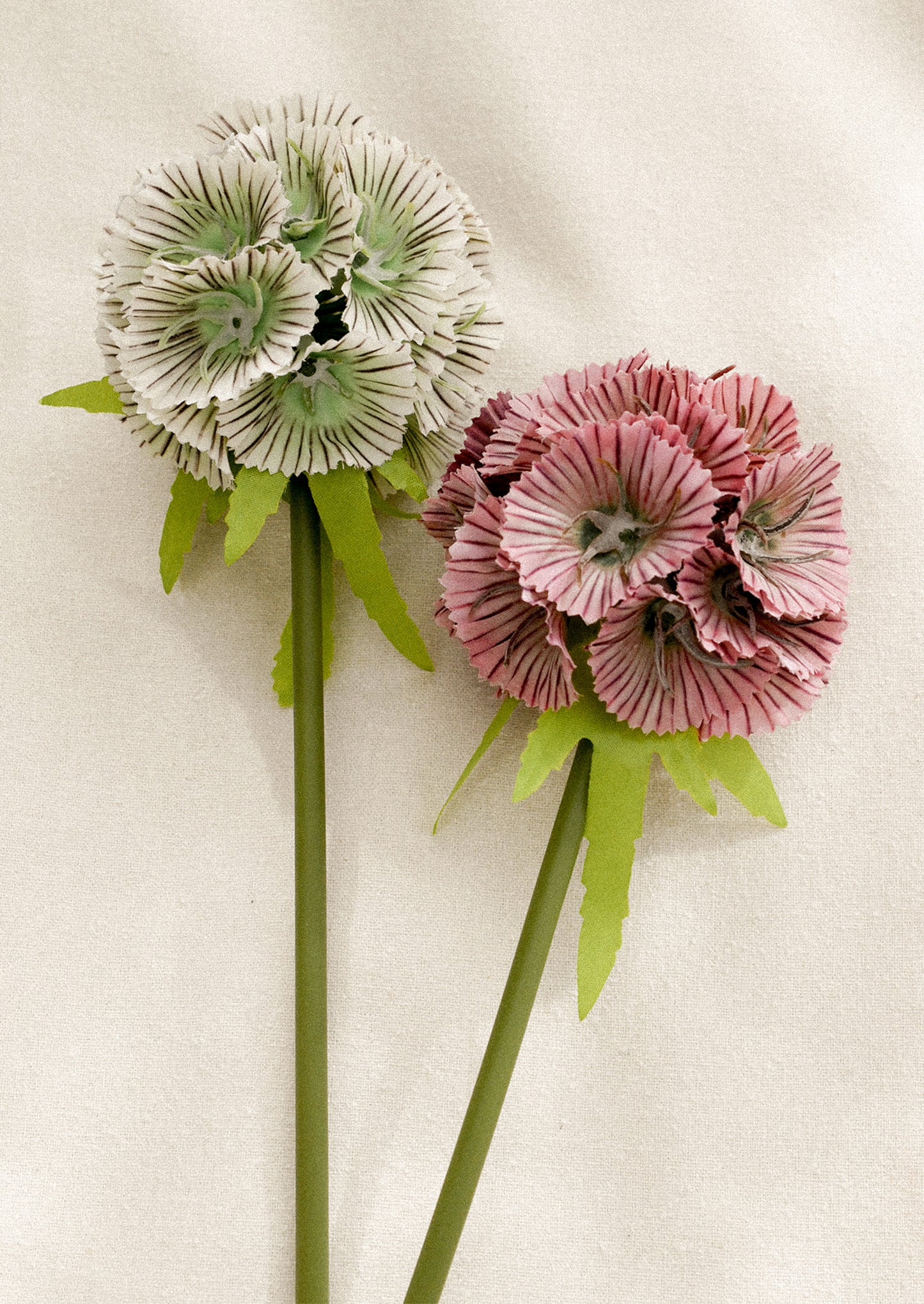 Two faux floral stems, one white and one pink, on a light background.