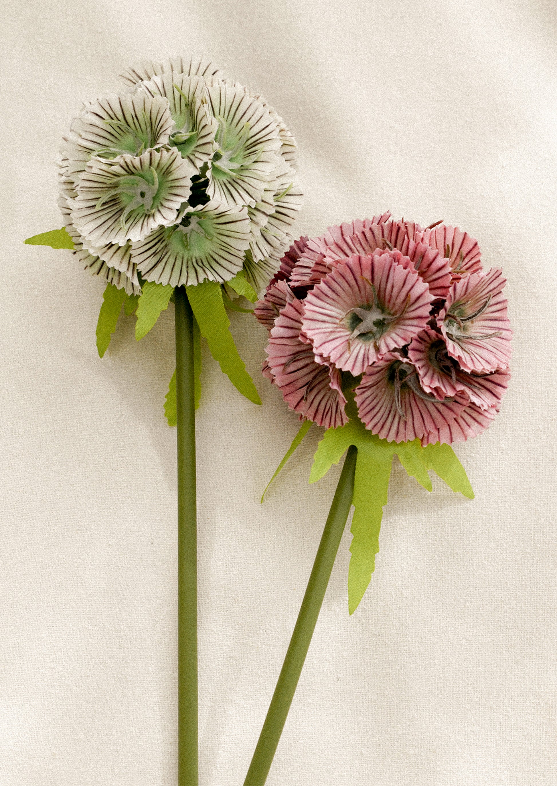 Two faux floral stems, one white and one pink, on a light background.