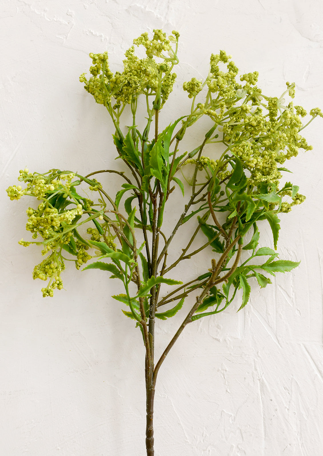 Artificial green plant branch on a white background