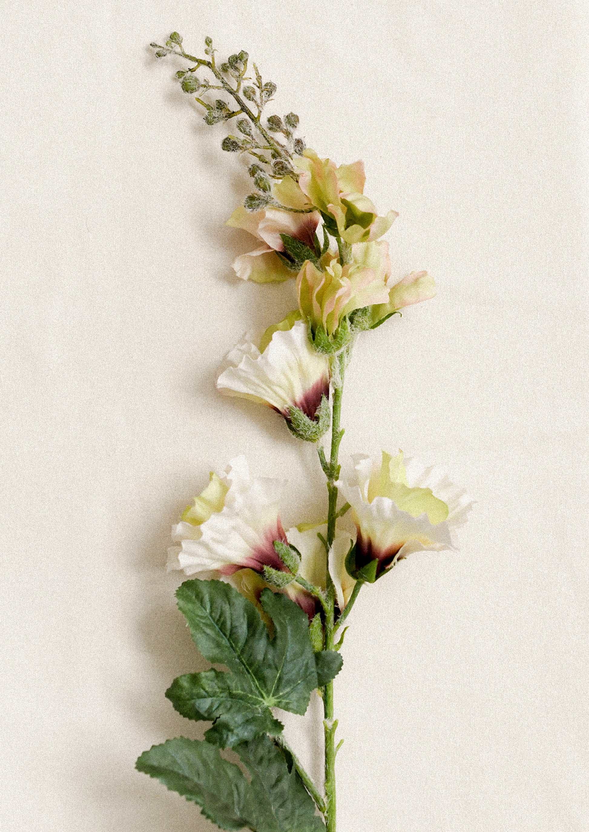 Faux Hollyhock Stem in cream and dark pink.