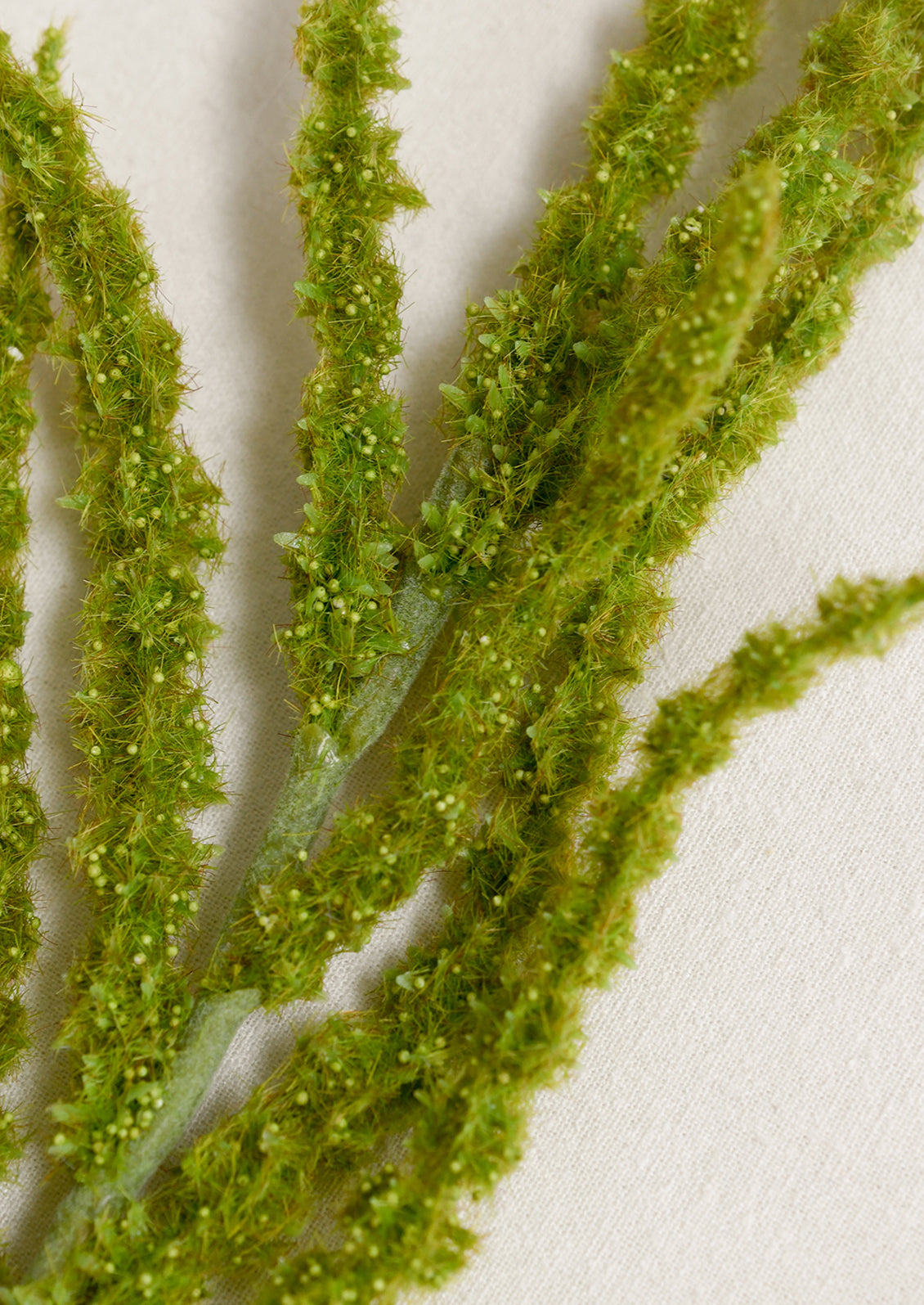 Faux Amaranthus Stem in green.